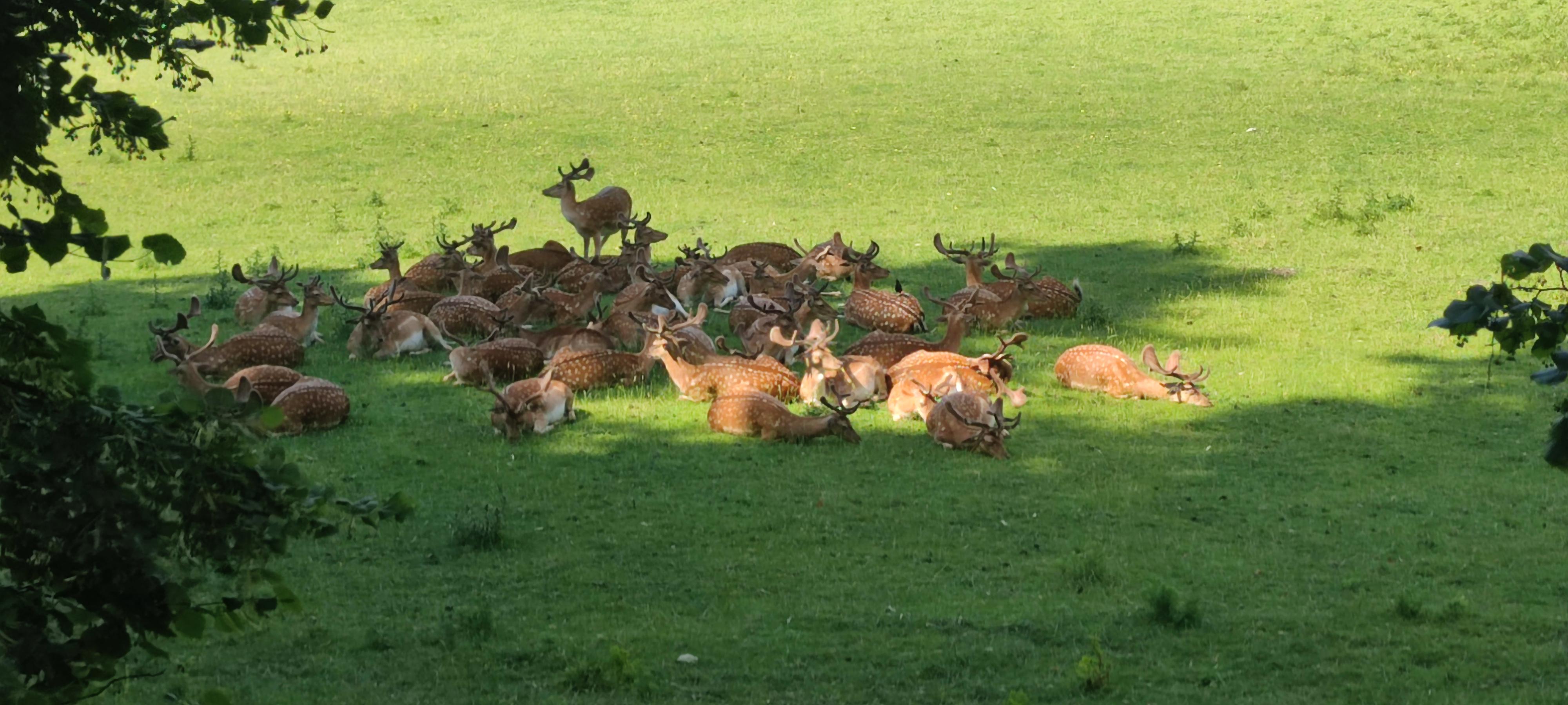 Penzion Vila Tereza foto 4