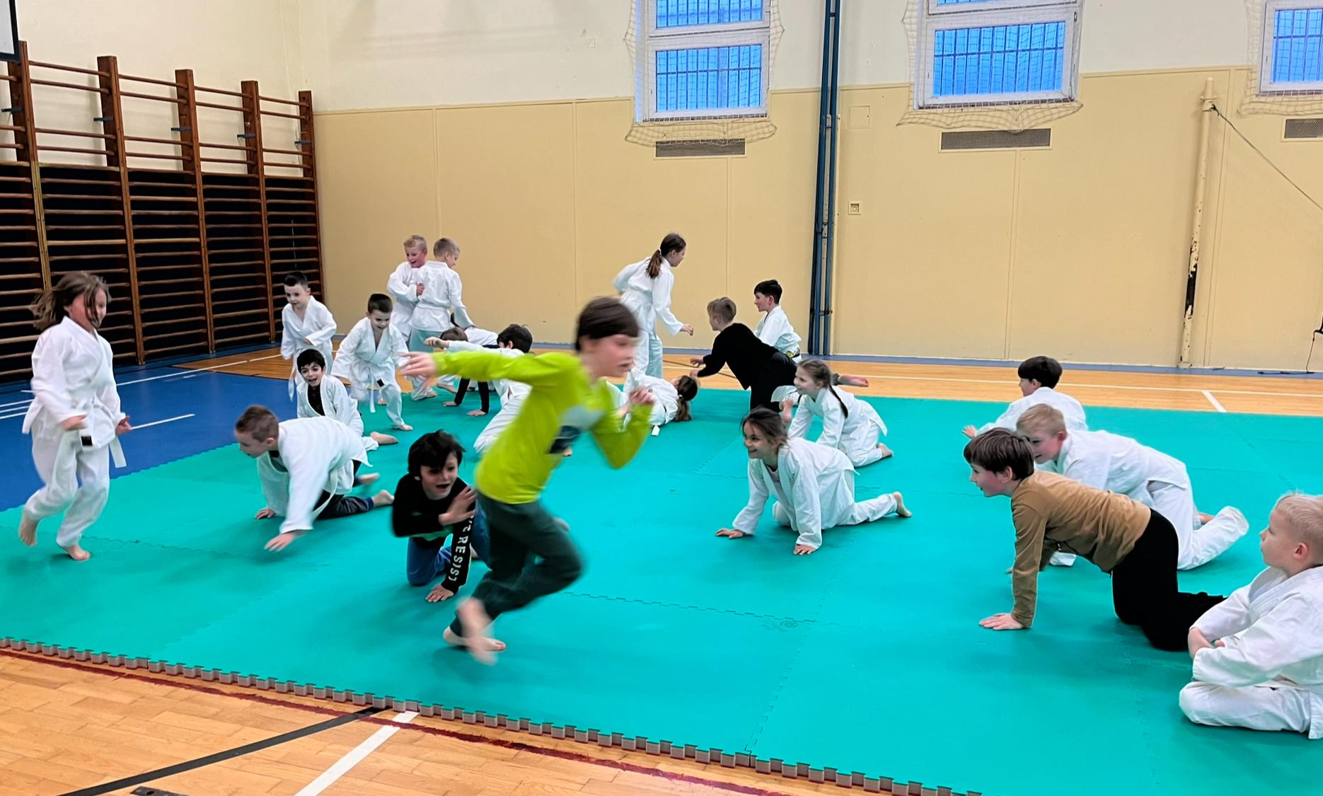 Judo Best Motion foto 6