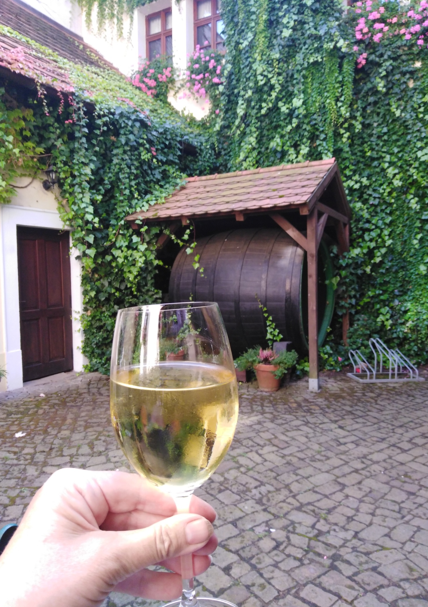 Regionální muzeum Mělník - kavárna foto 2