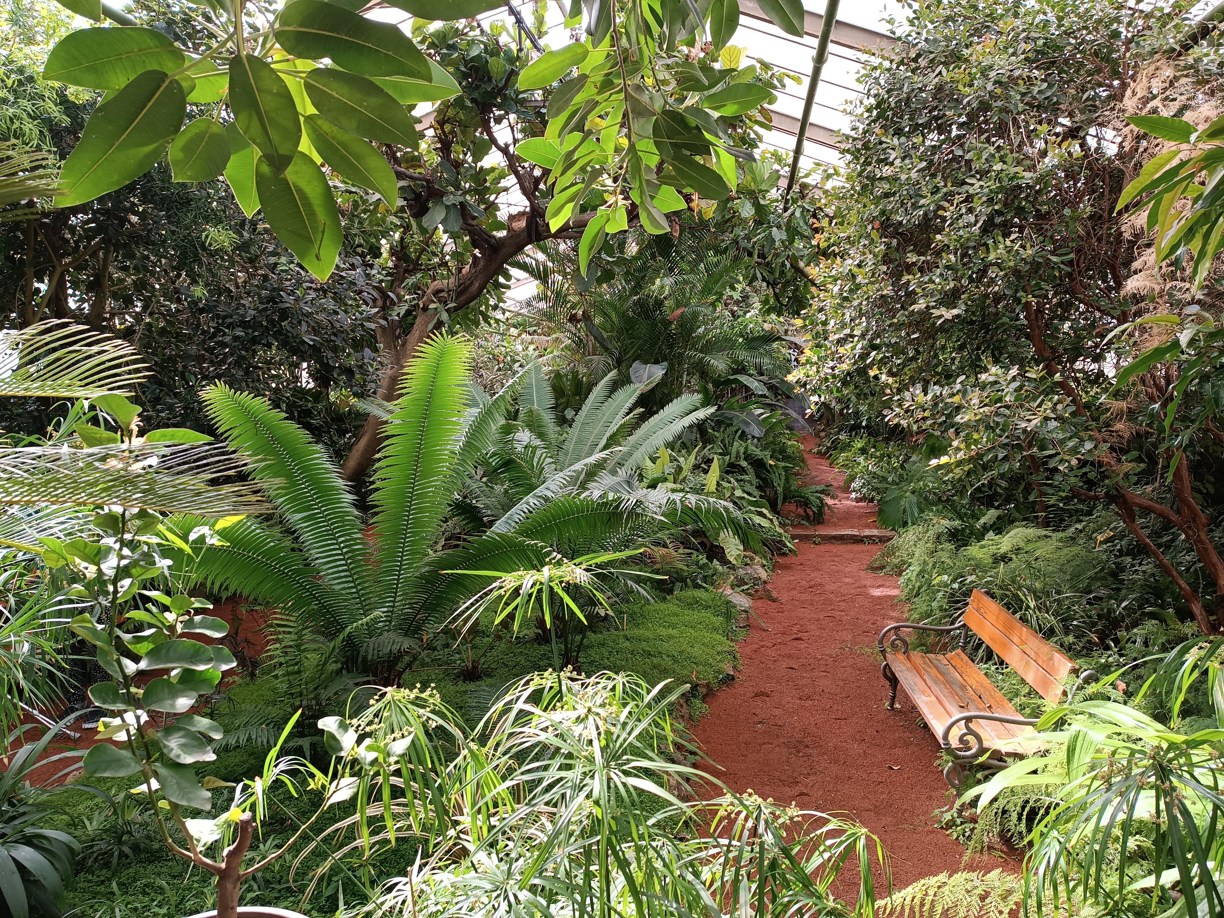 Zimní zahrada Nemocnice TGM Hodonín foto 5