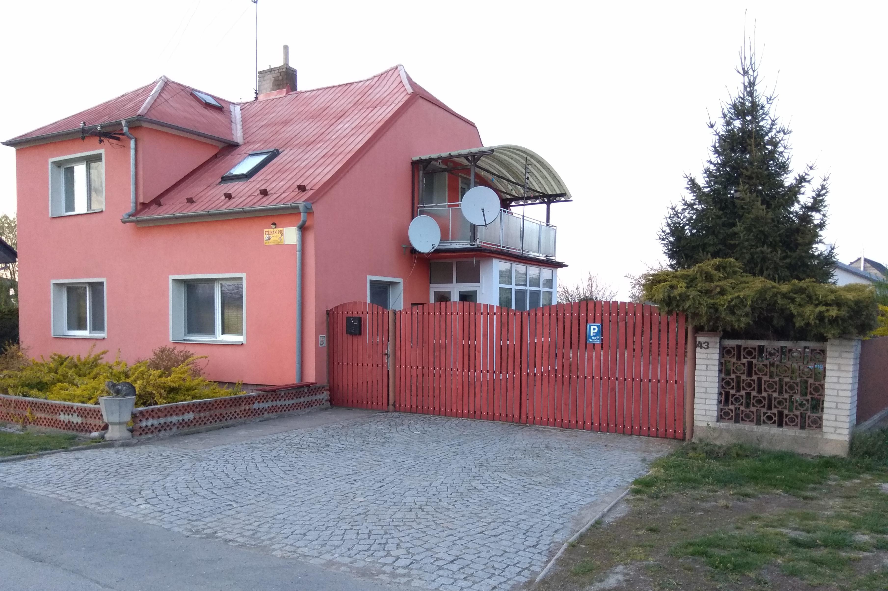 Stříhání psů Aneta Nerušilová foto 1