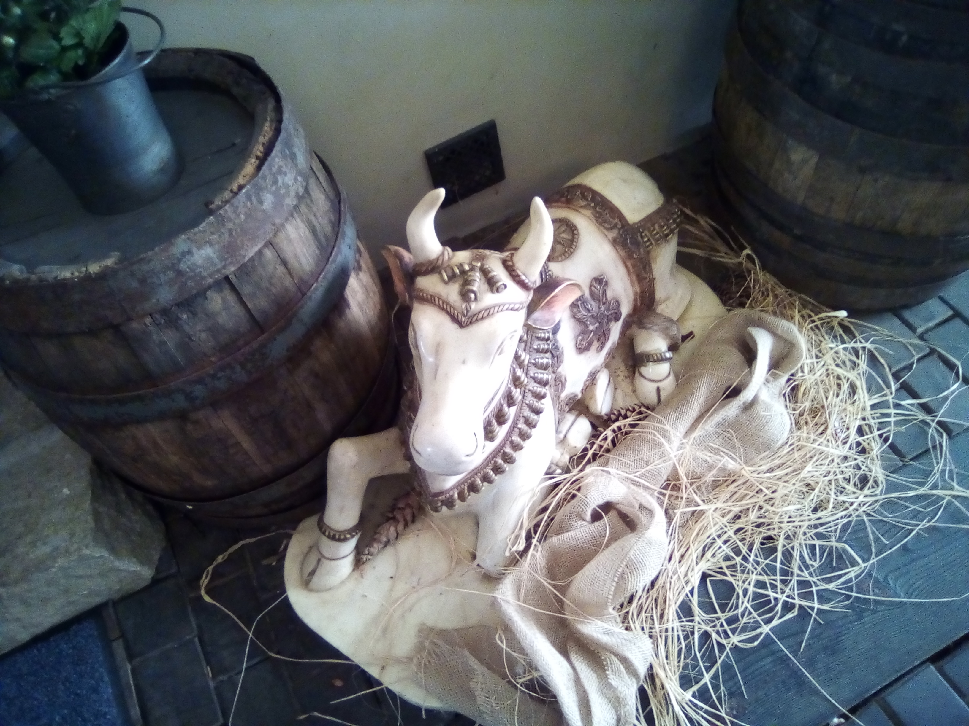 Alchymistická hospůdka Kellyxír foto 6