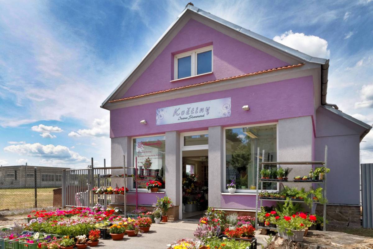 Květiny - Ivana Slavovová foto 1