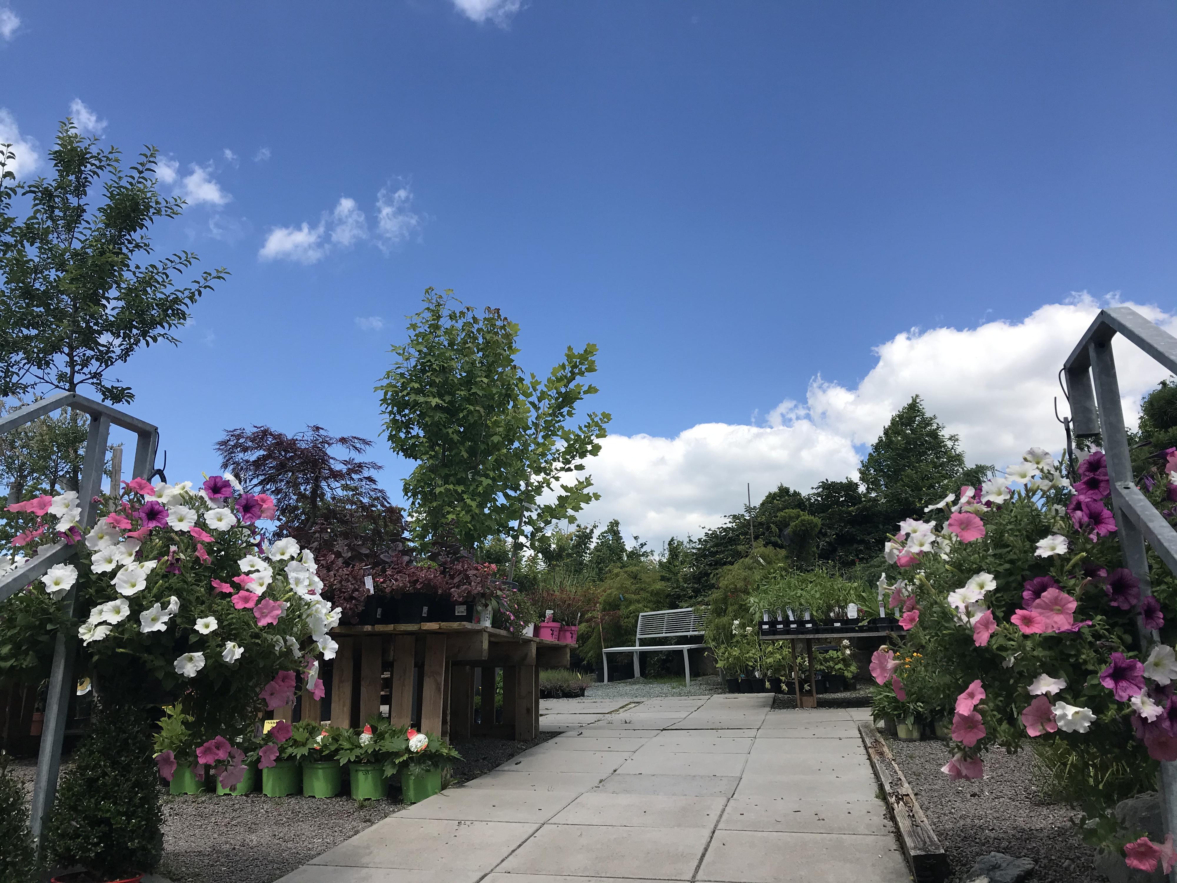 Zahradnictví Fleglovi Vamberk foto 6