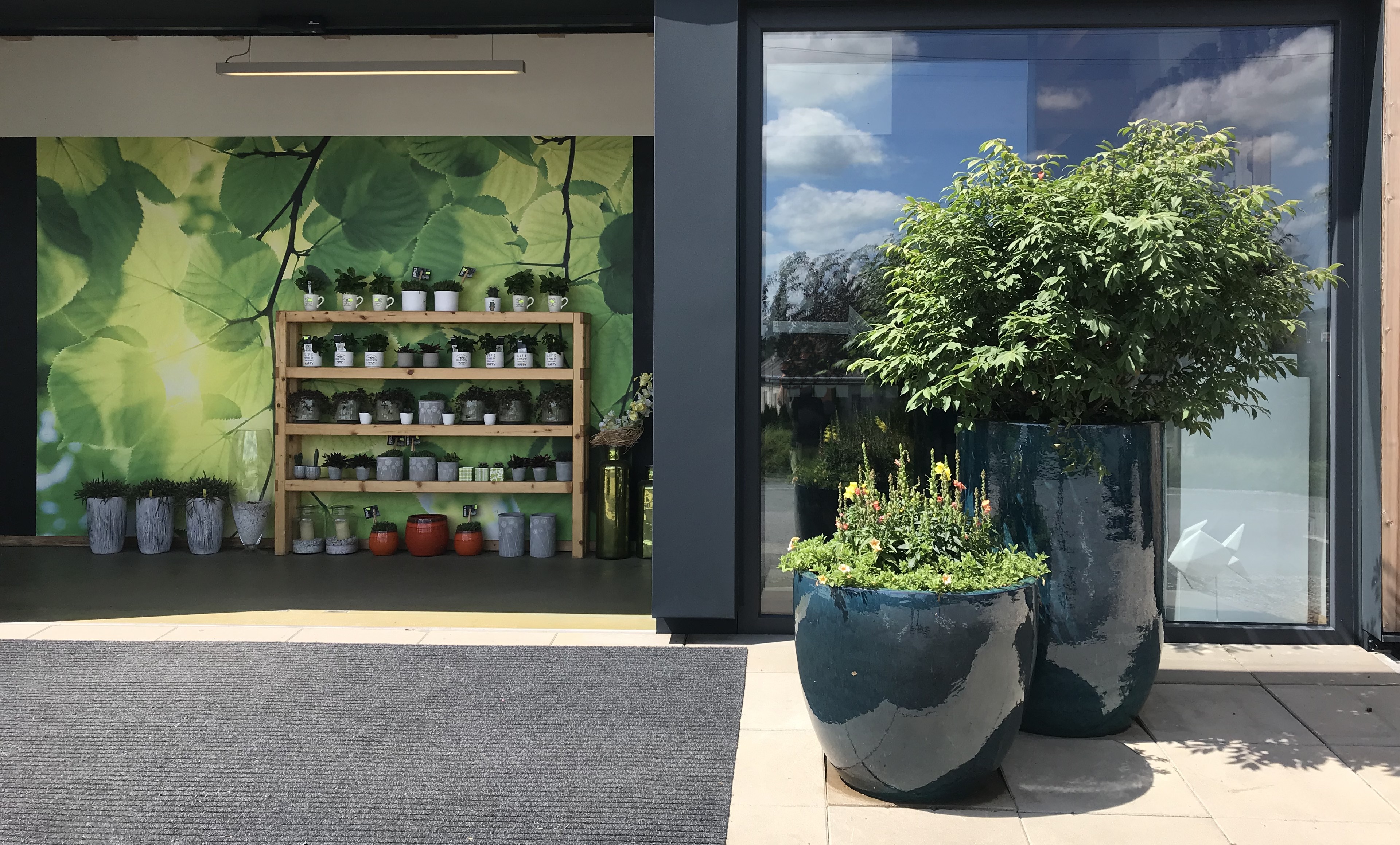 Zahradnictví Fleglovi Vamberk foto 2