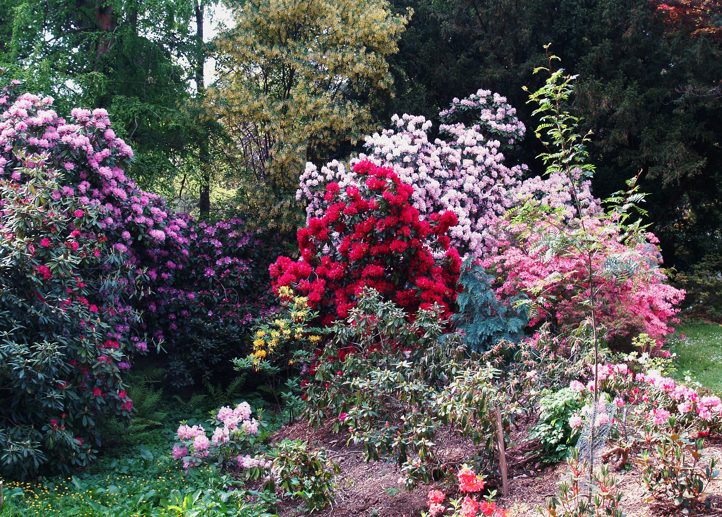 Arboretum Nový Dvůr foto 4