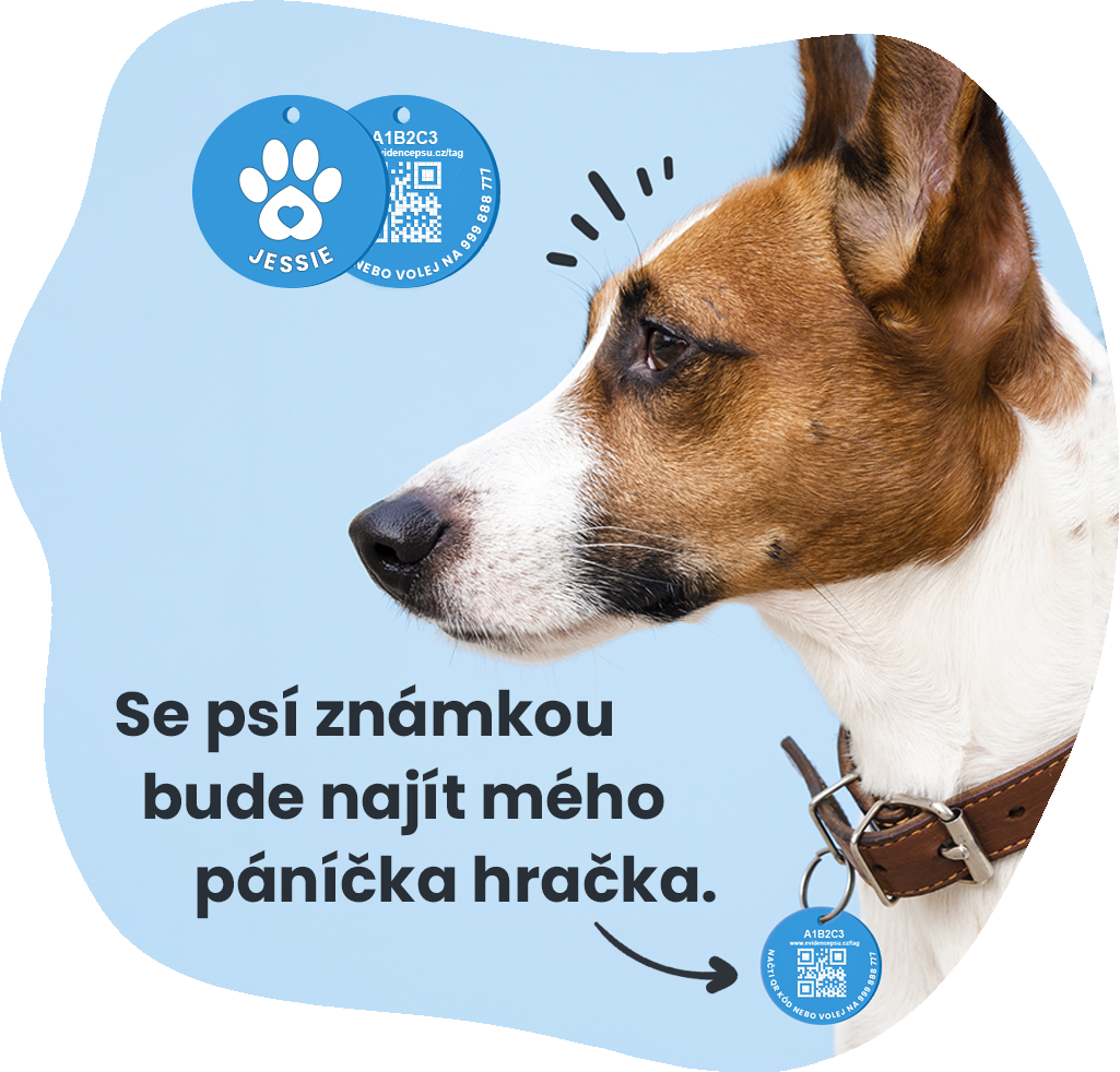 Centrální registr psů - Evidence Psů foto 2