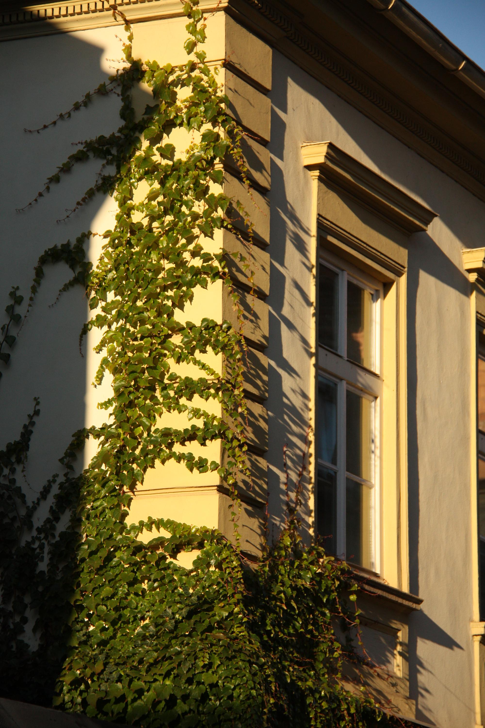 Kafírna VOLKAFE Trutnov foto 3