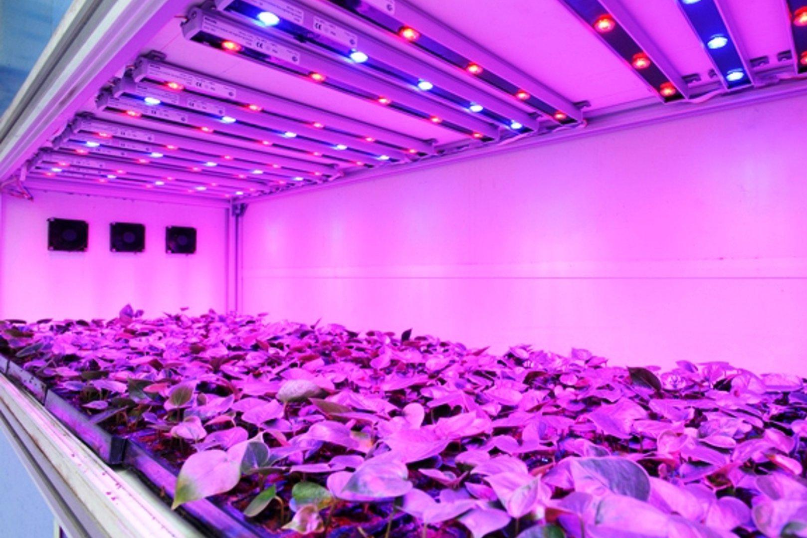 Bestgrow.cz foto 2