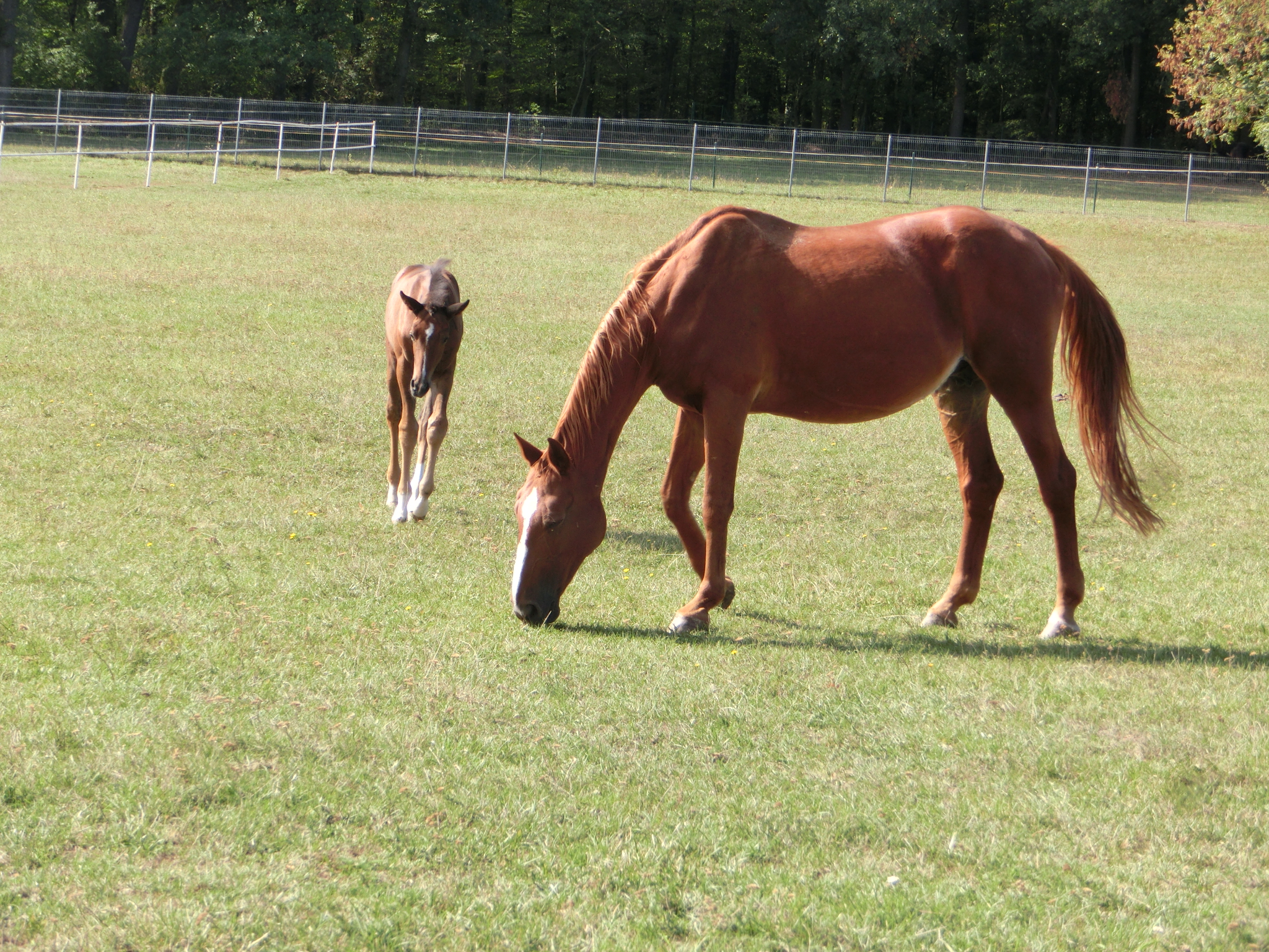 Jezdecký areál Ranch foto 2
