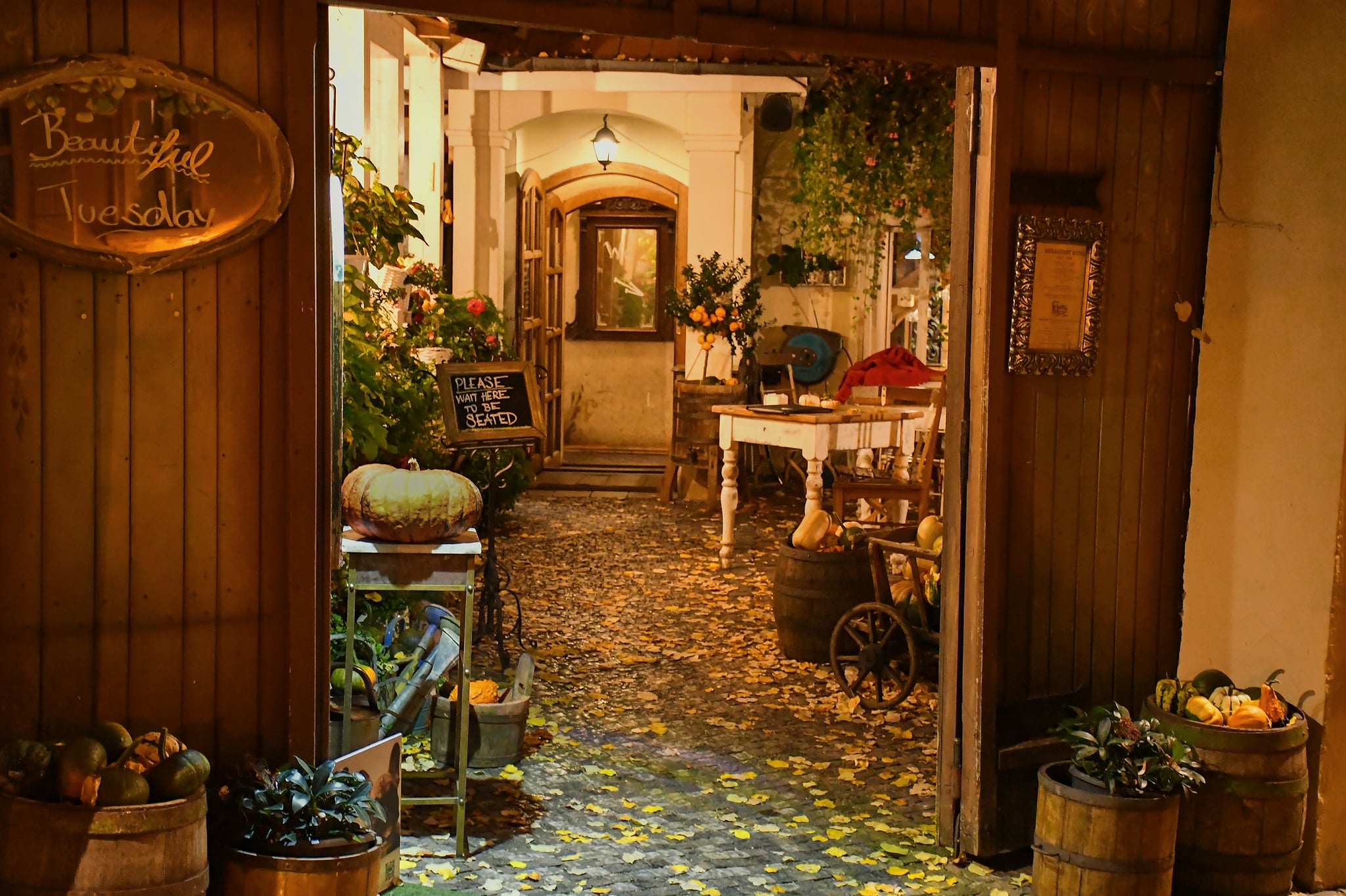 Restaurace Velkopřevorský mlýn foto 2