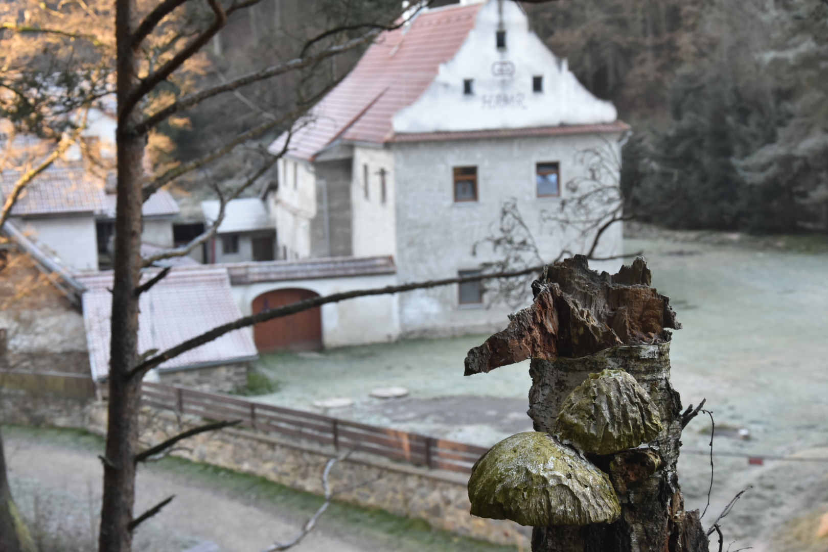 Penzion Hamr Dívčí Kámen foto 5