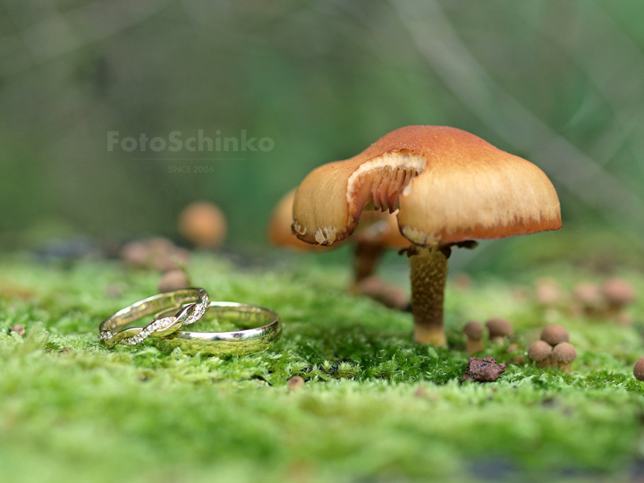 Jan Schinko jr. | FotoSchinko foto 3