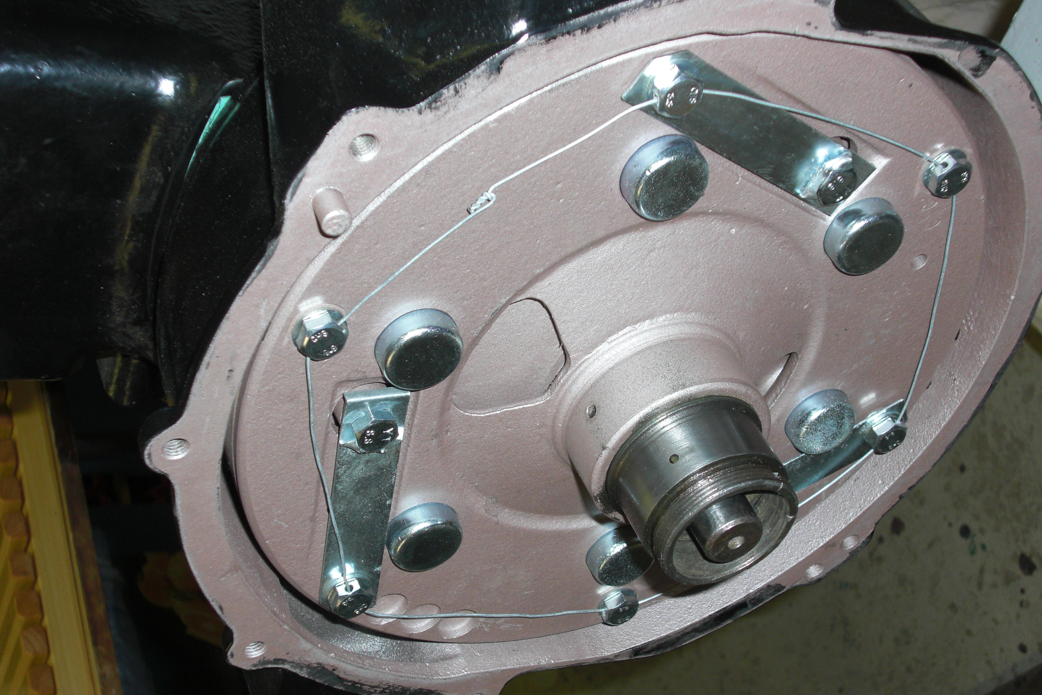 Technovet foto 5