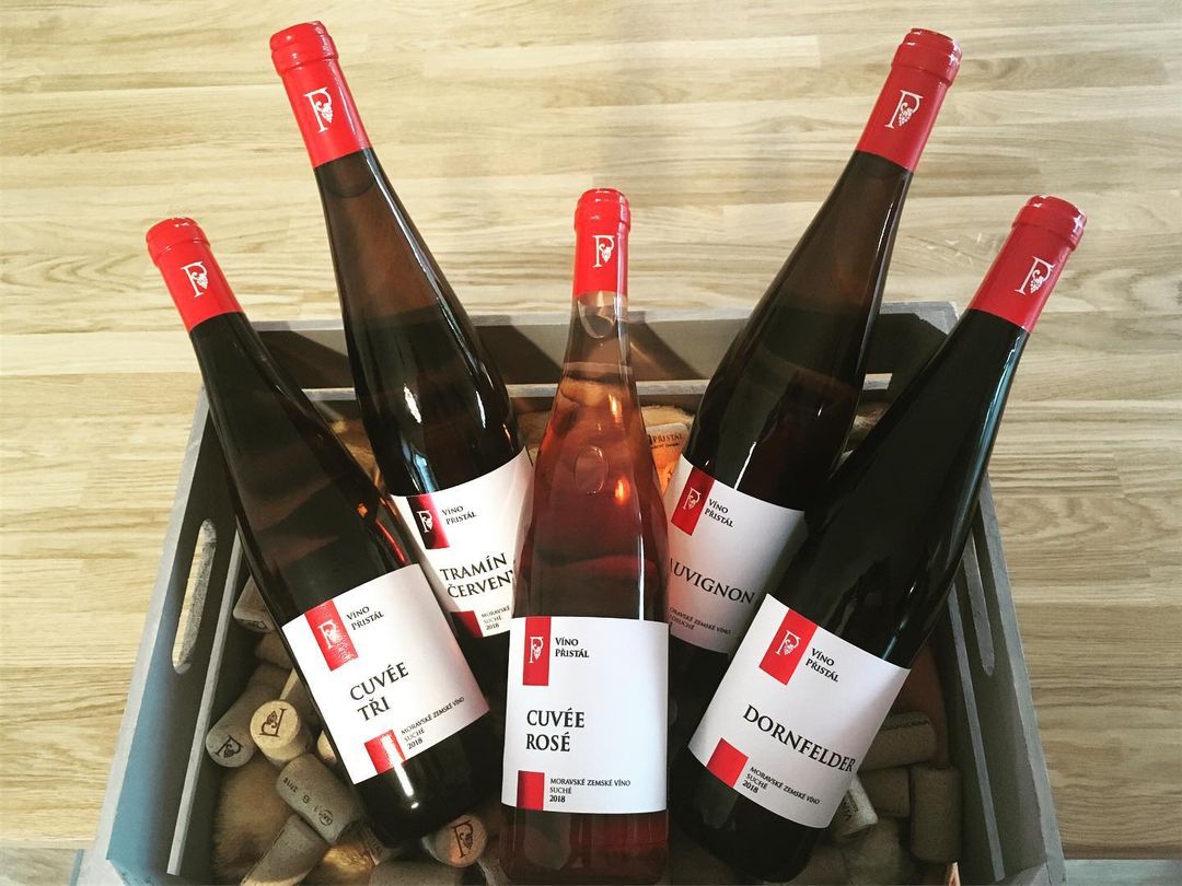 Víno Přistál, rodinné vinařství foto 3