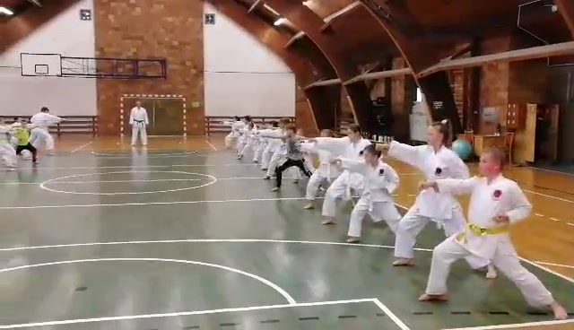 KARATE SPORT RELAX foto 2 (náhled videa)