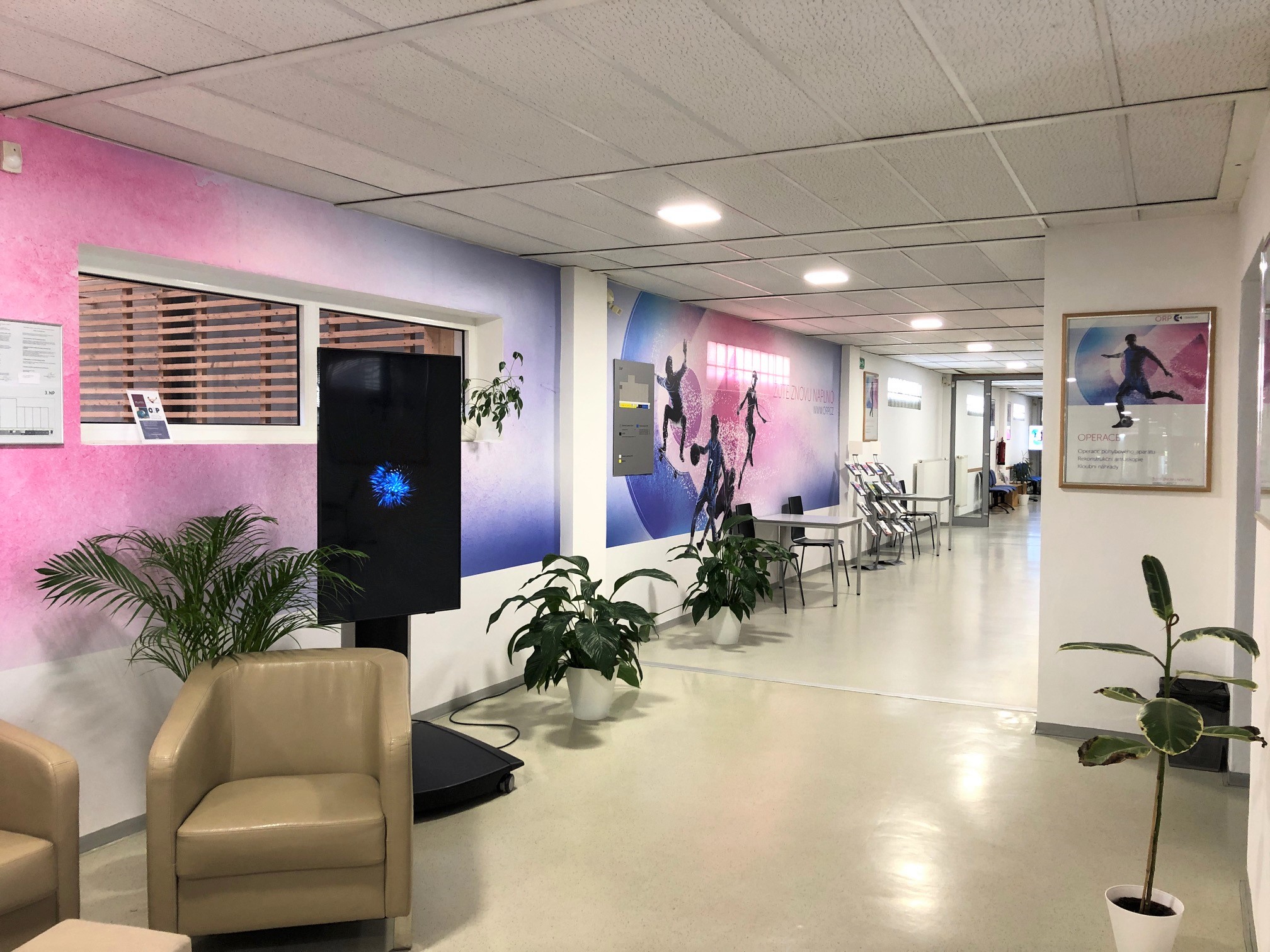ORP Centrum - lékařské centrum pro diagnostiku a léčbu pohybového aparátu foto 4