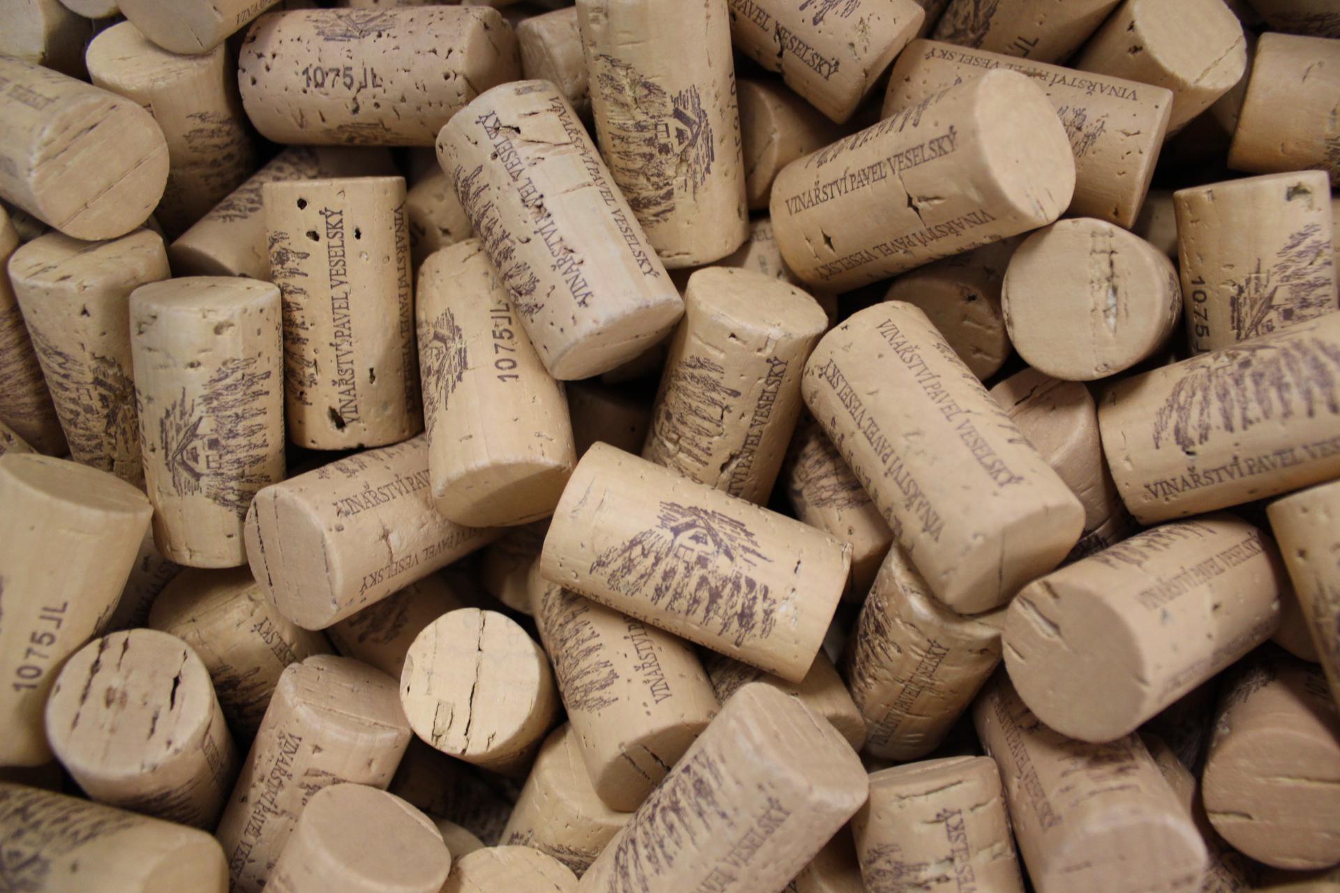 Vinařství Pavel Veselský foto 5