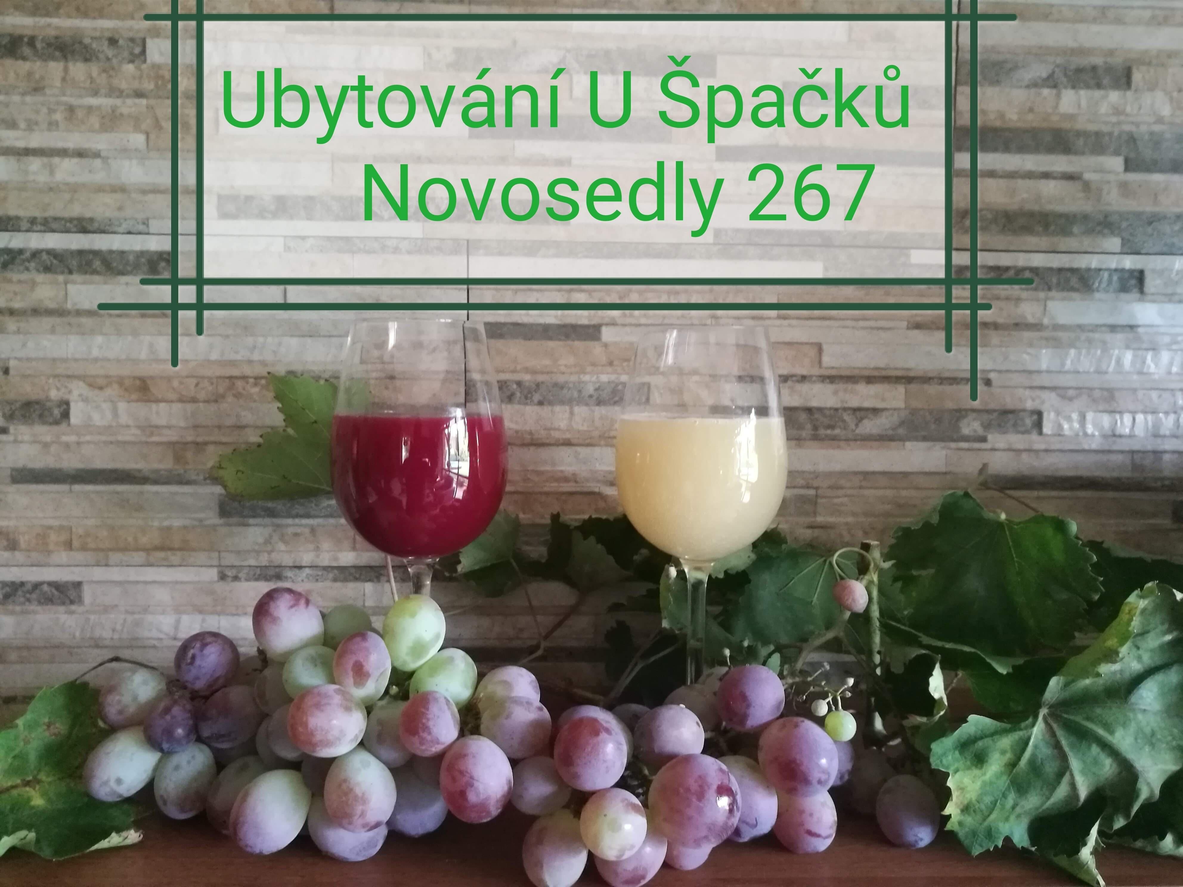Ubytování U Špačků Pálava foto 6
