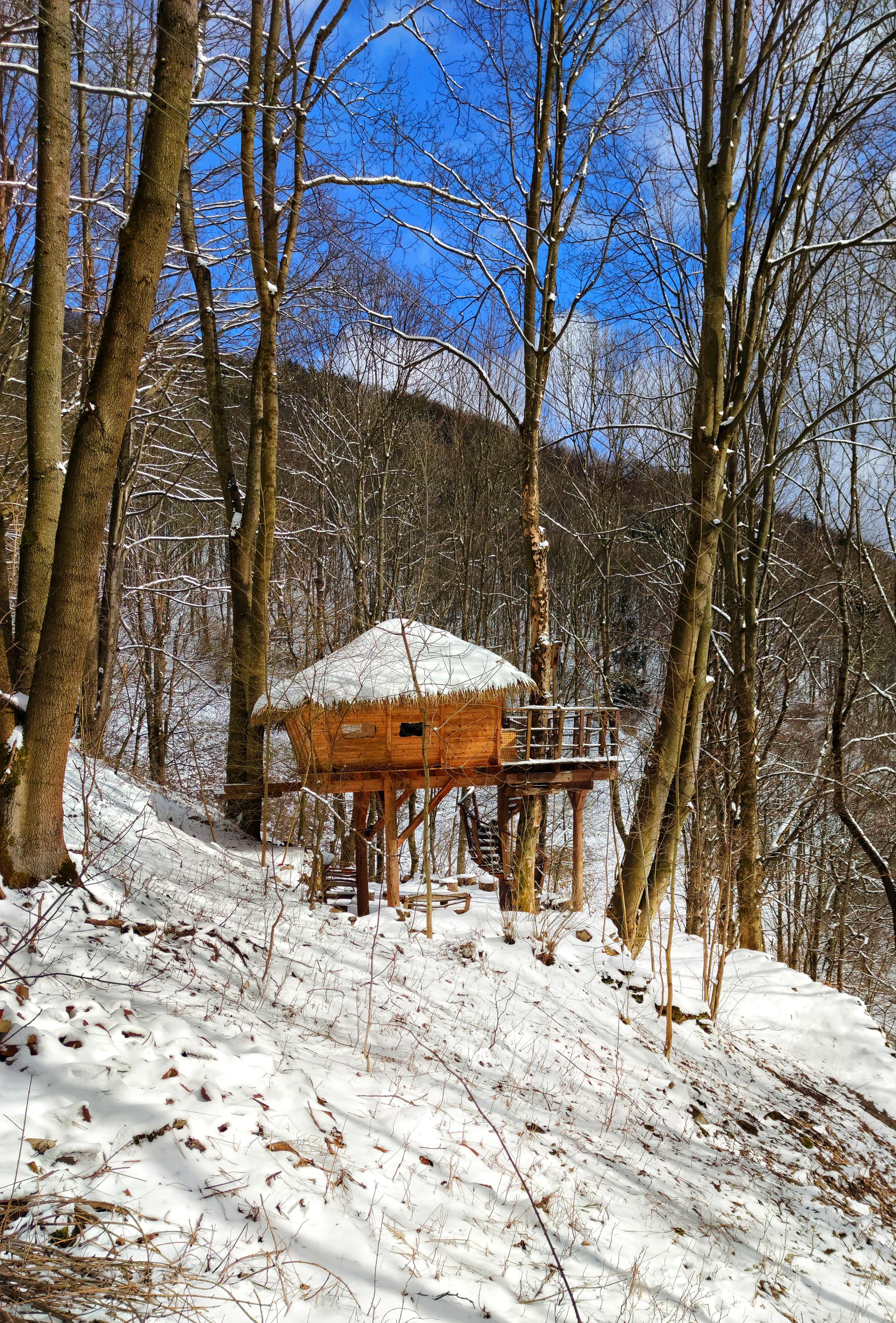 Treehouse pod Ještědem foto 2