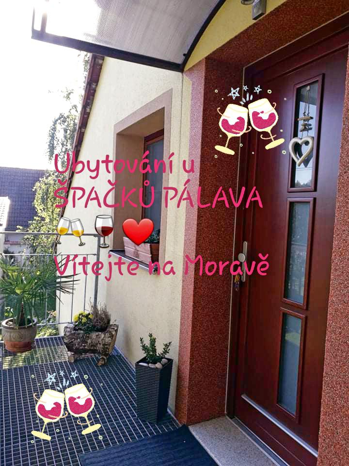 Ubytování U Špačků Pálava foto 3