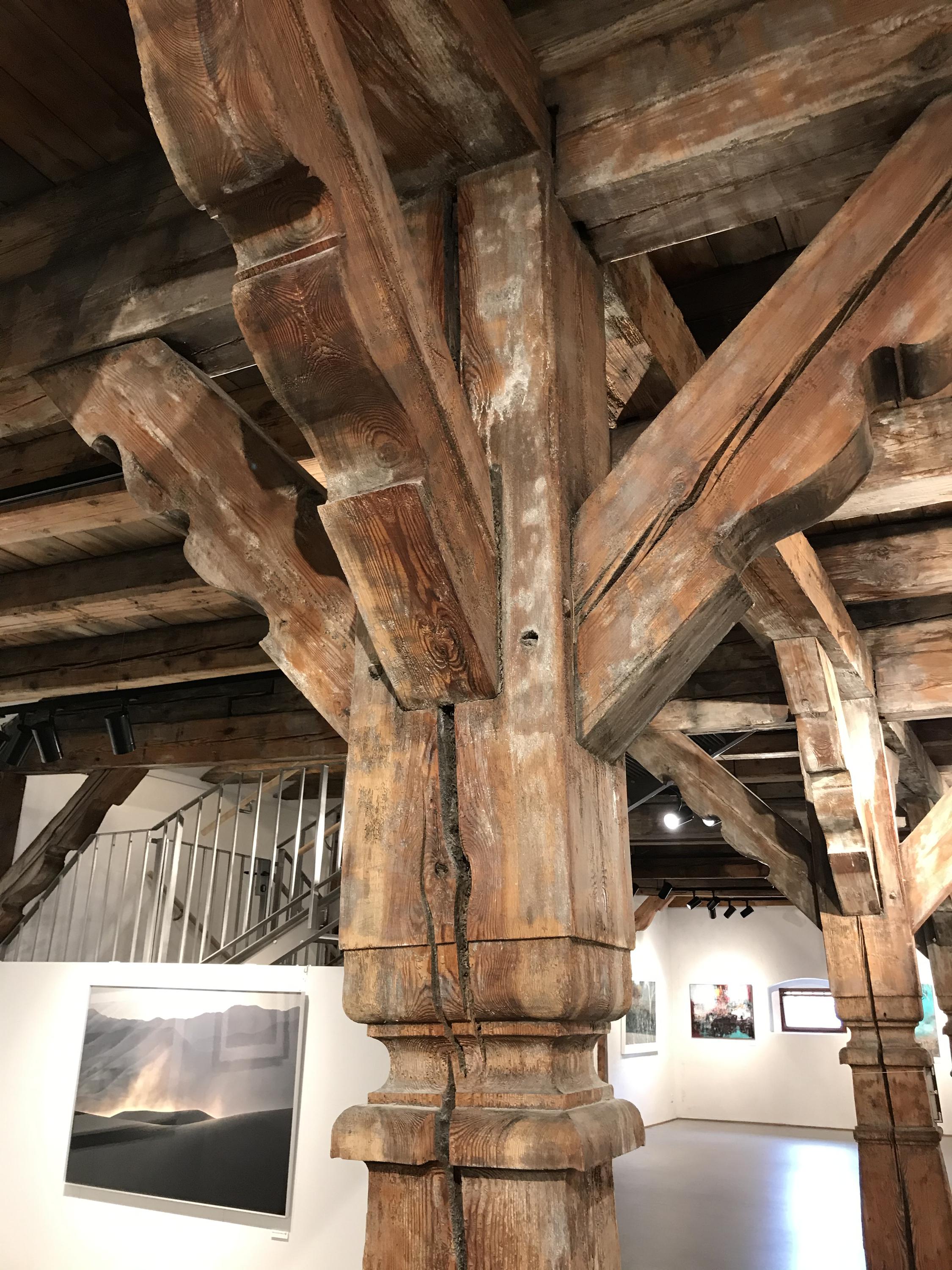 Galerie 4 - galerie fotografie foto 3