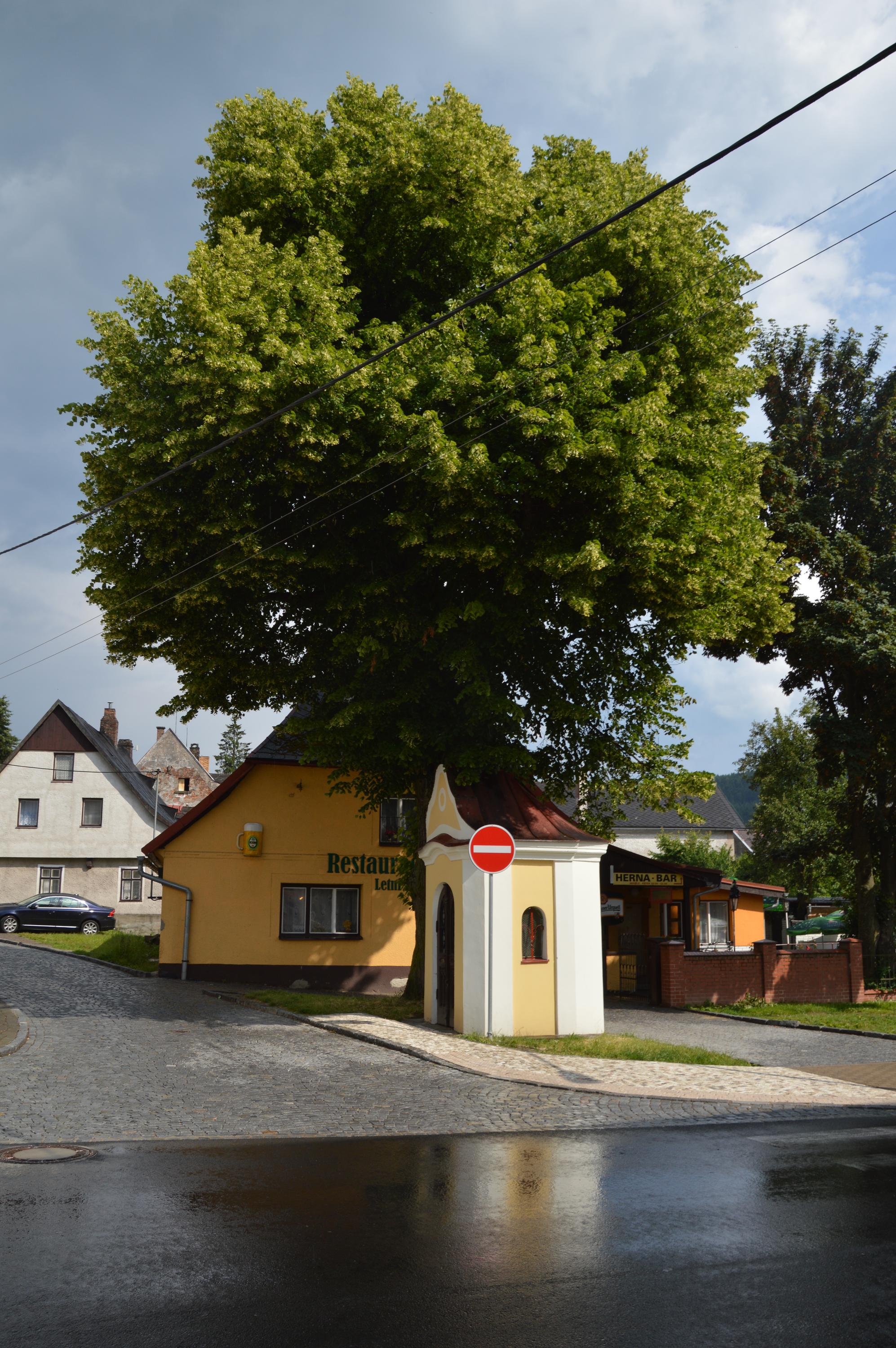 Restaurace U Lípy foto 3