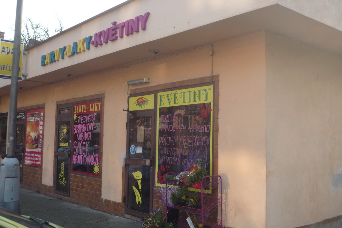 Aneta Zavěruchová - Barvy-laky-květiny foto 2