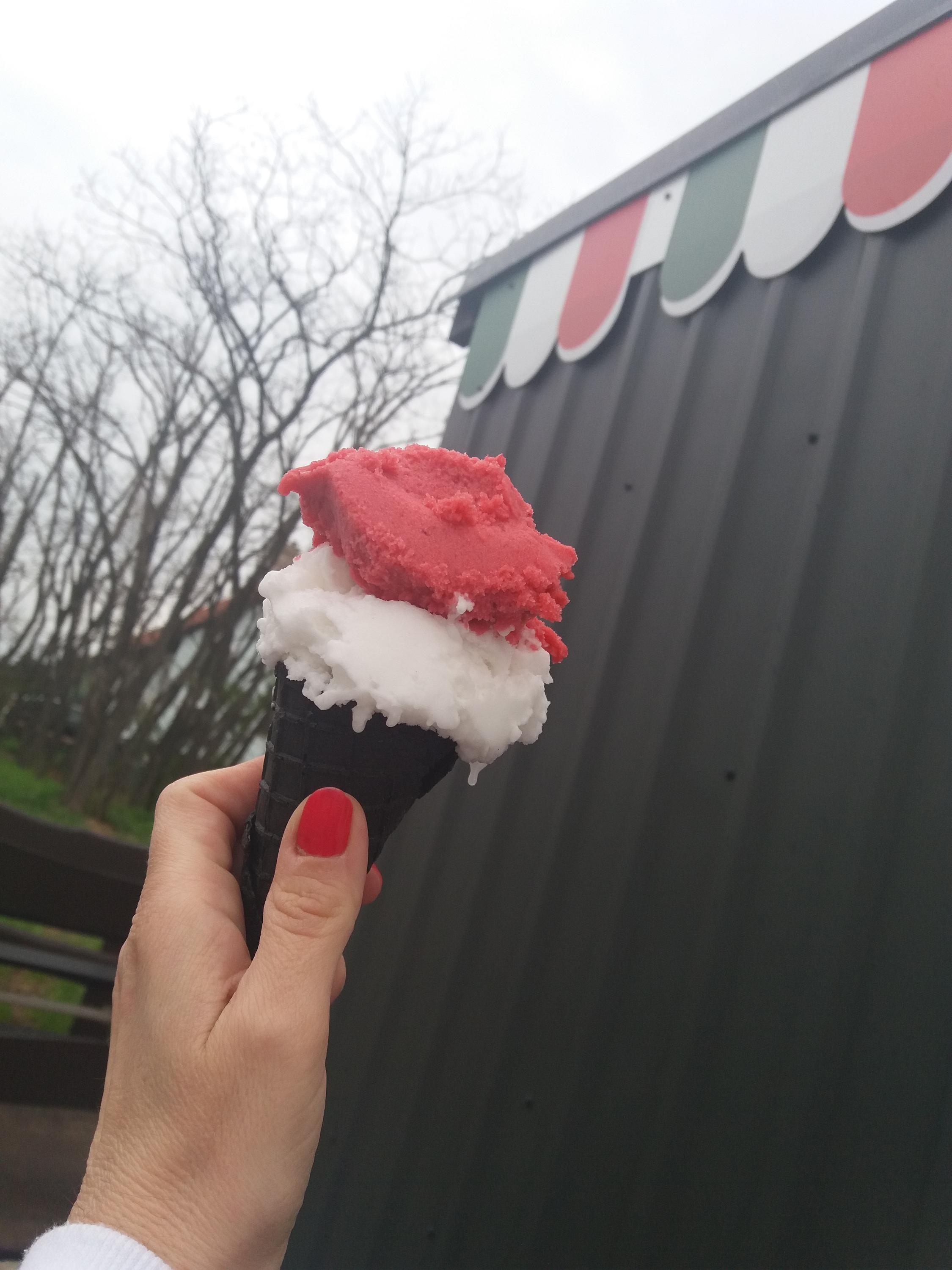 Zmrzlina u Votavů foto 4