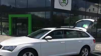 Fibich Václav přeprava osob s.r.o. foto 2 (náhled videa)