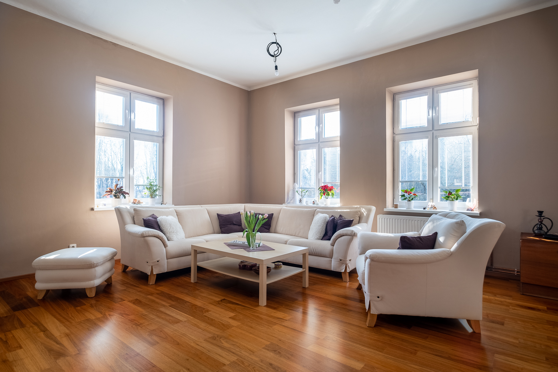 Markéta Hrušková - realitní makléřka foto 4