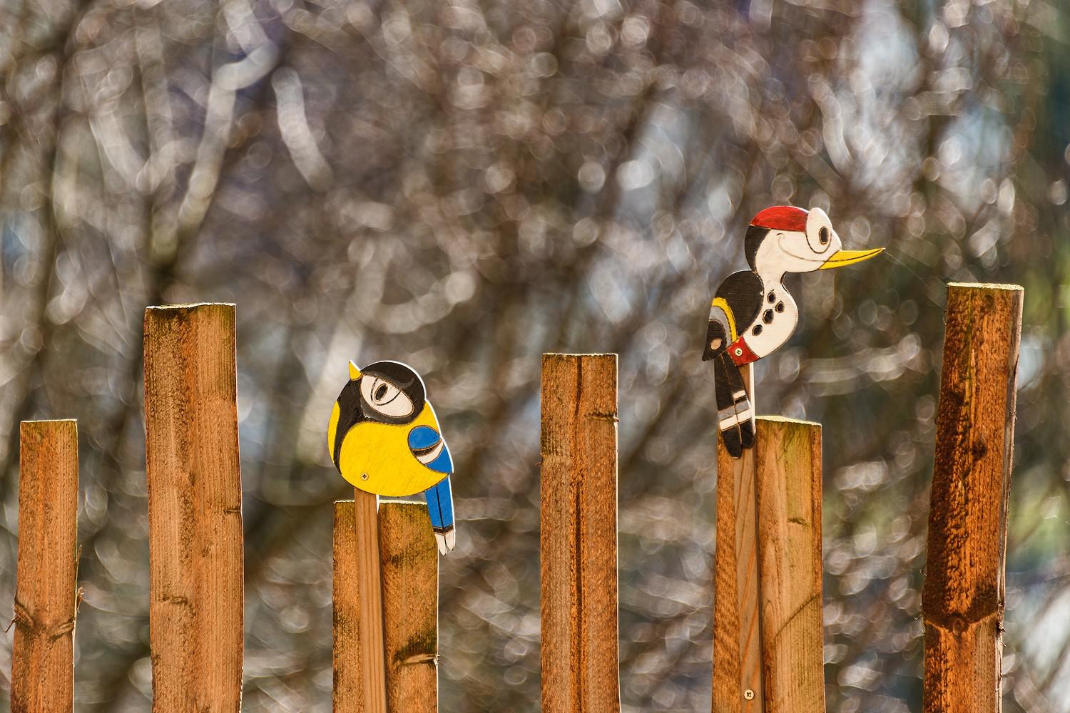 Přírodní zahrada DOTEK foto 3