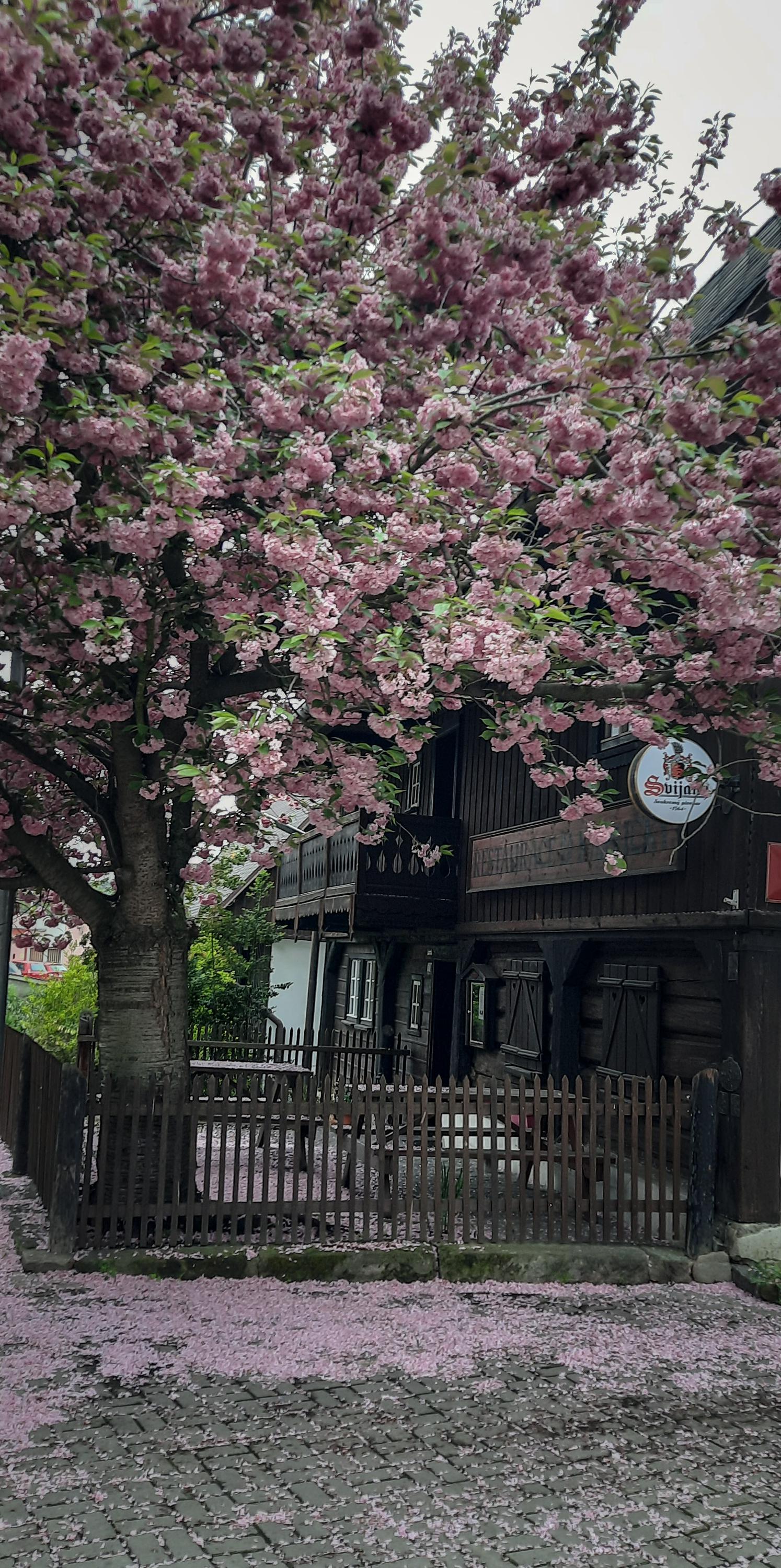 Hospůdka Chaloupka foto 2