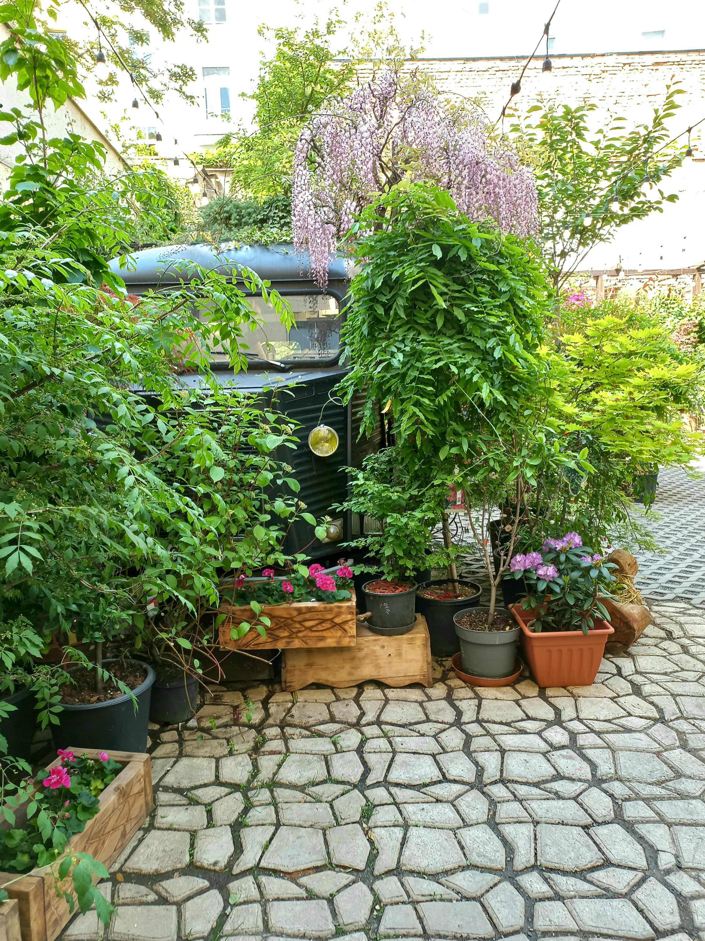 Botanica Coffee Truck foto 2