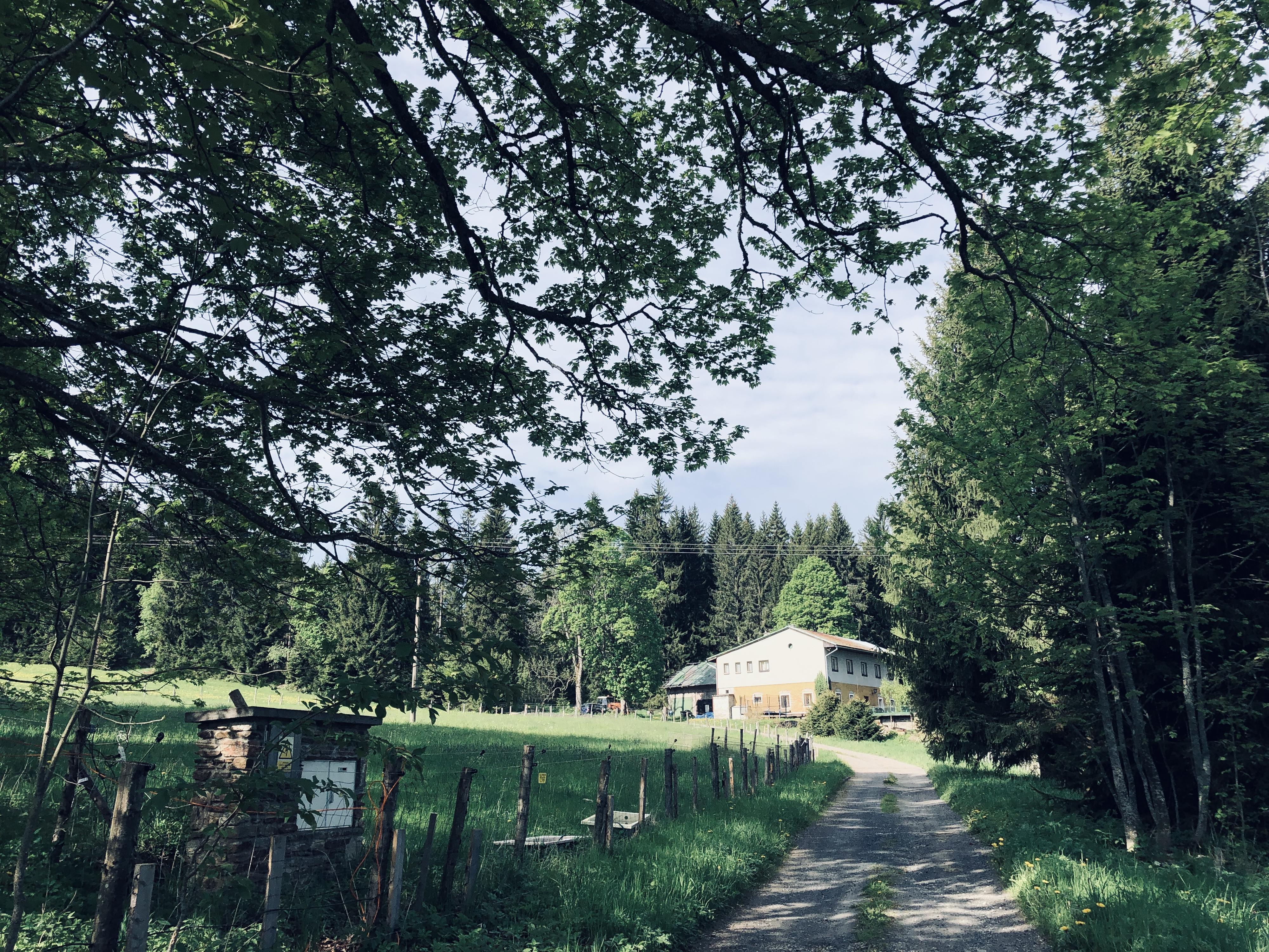 Penzion Kamenný dům Srní