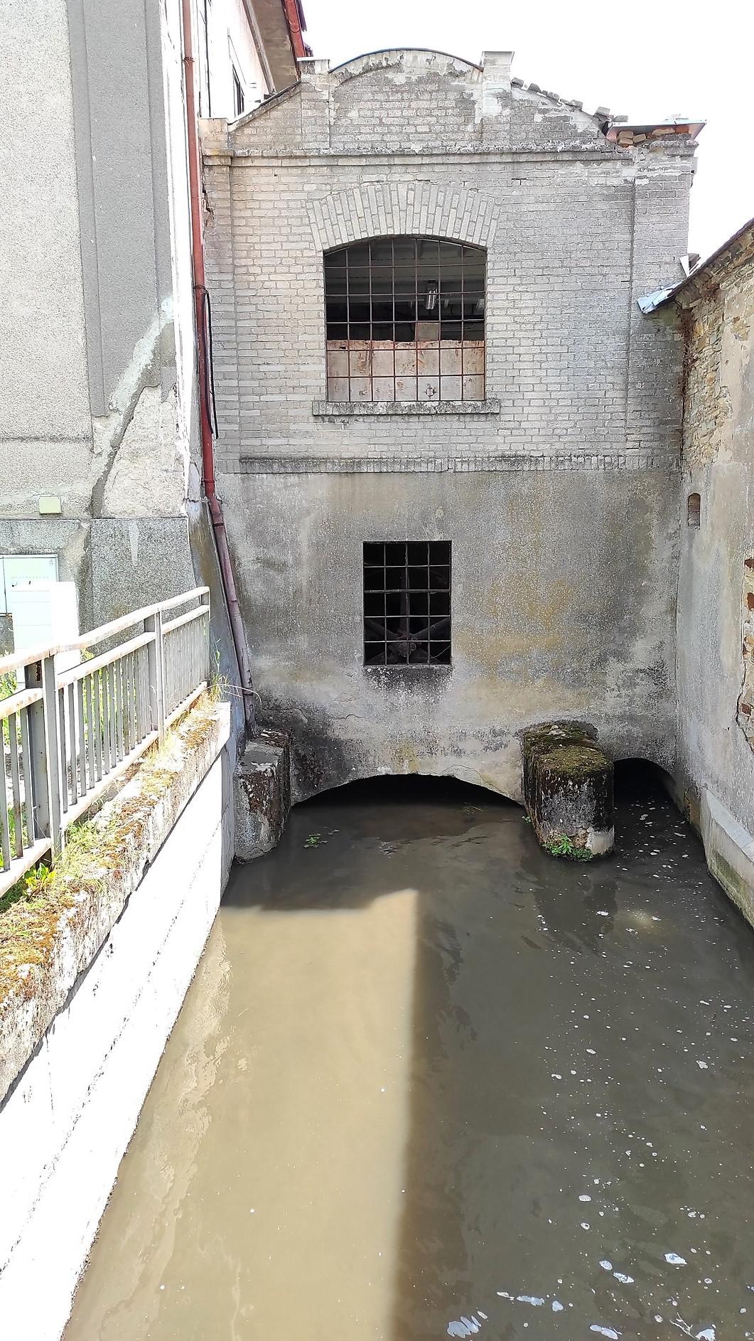 Mazlíkův RÁJ foto 2