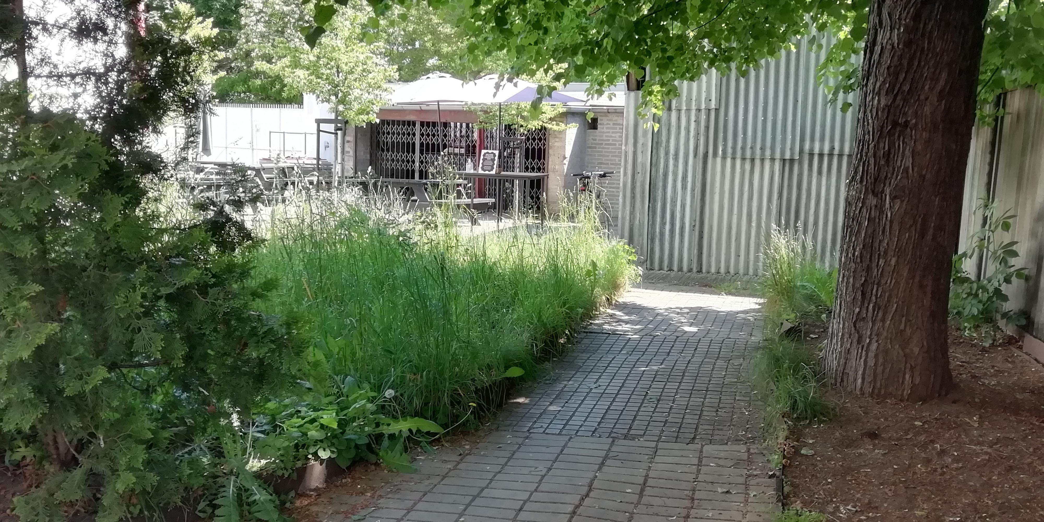 Holešovická Šachta foto 3