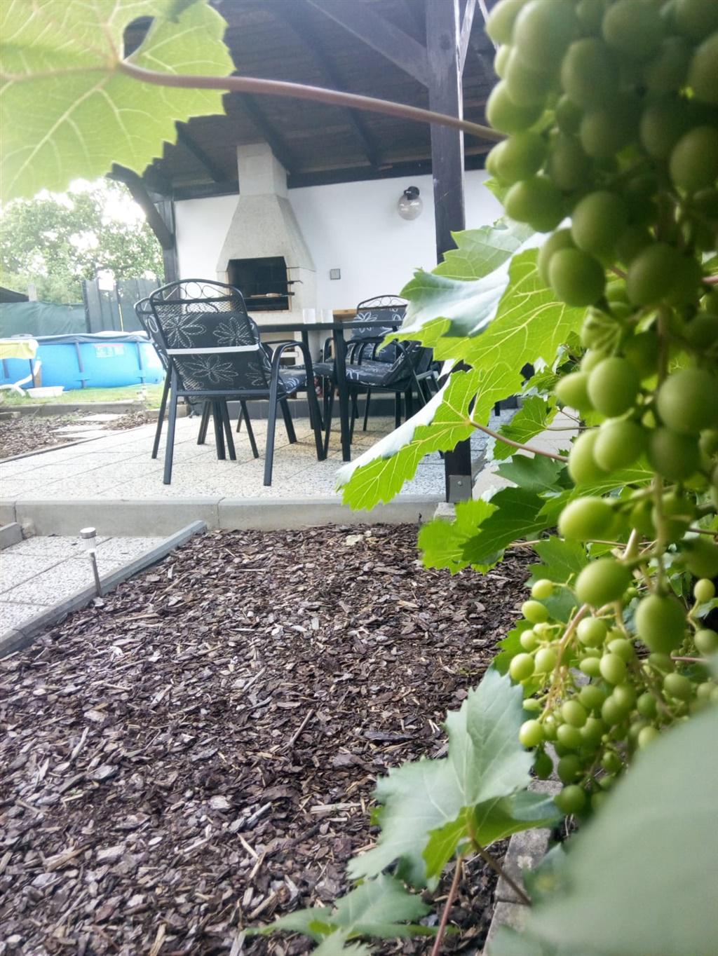 Cyklo ubytování a vinný sklep Žádovice foto 5