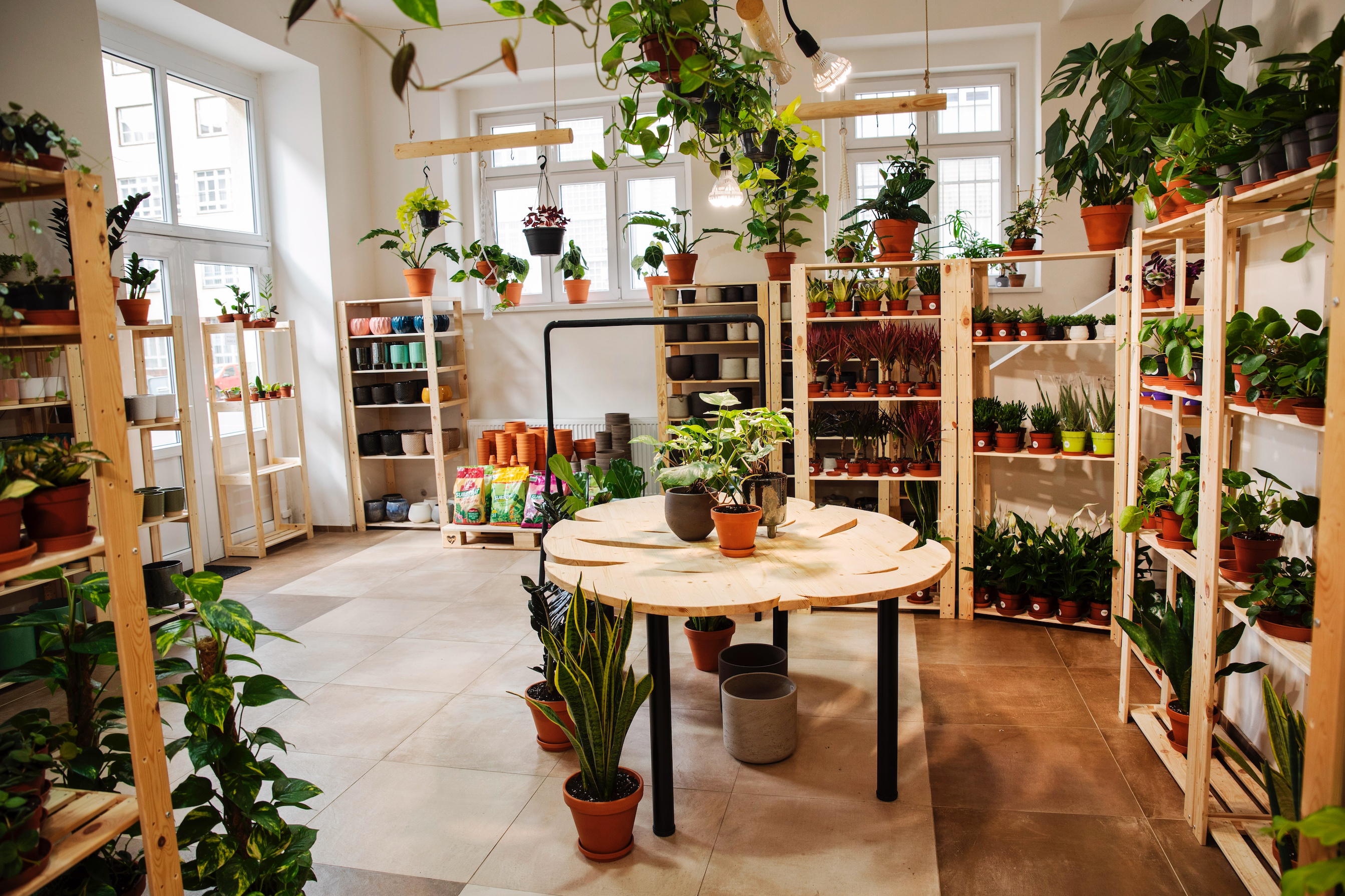 DMP - Dej mi pokojovku foto 3