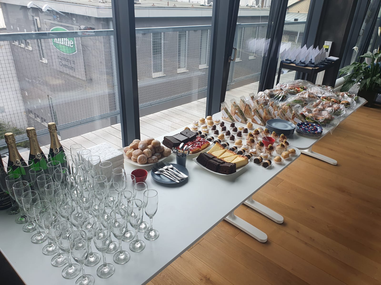 FREE for YOU s.r.o. foto 5