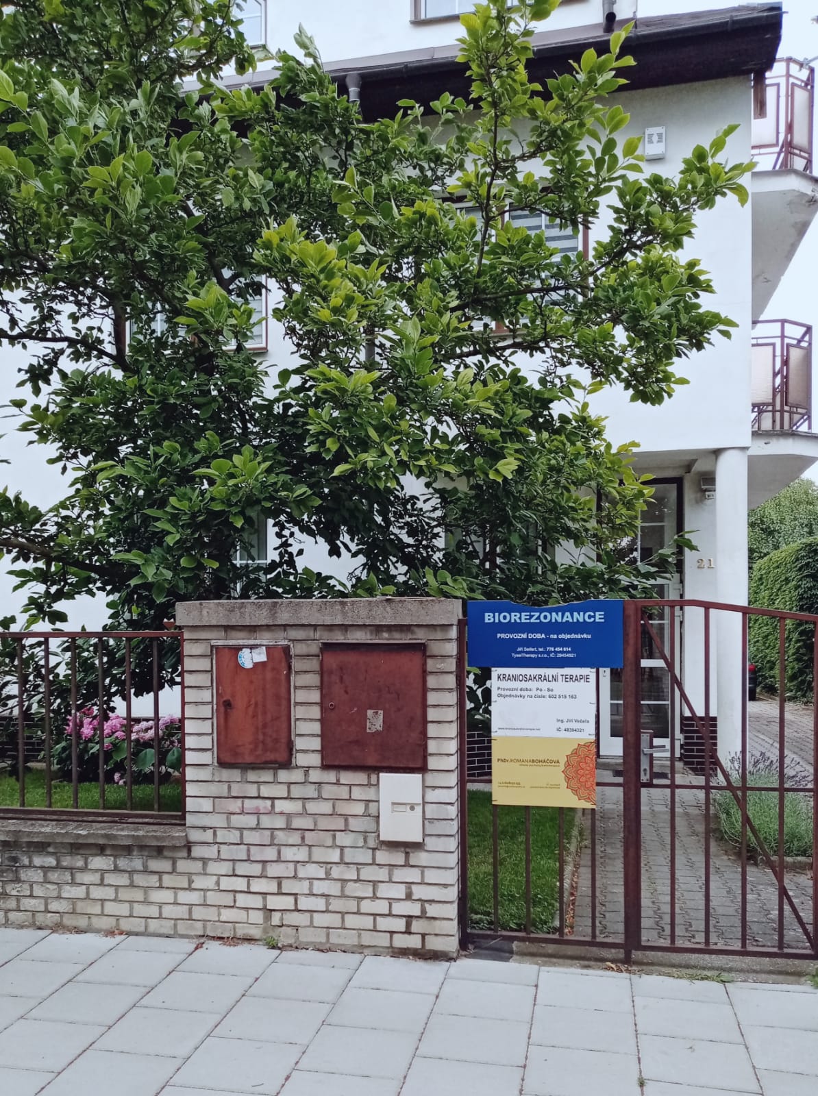 PhDr. Romana Boháčová foto 3