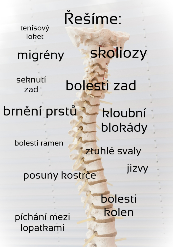 FyzioBeauty foto 1