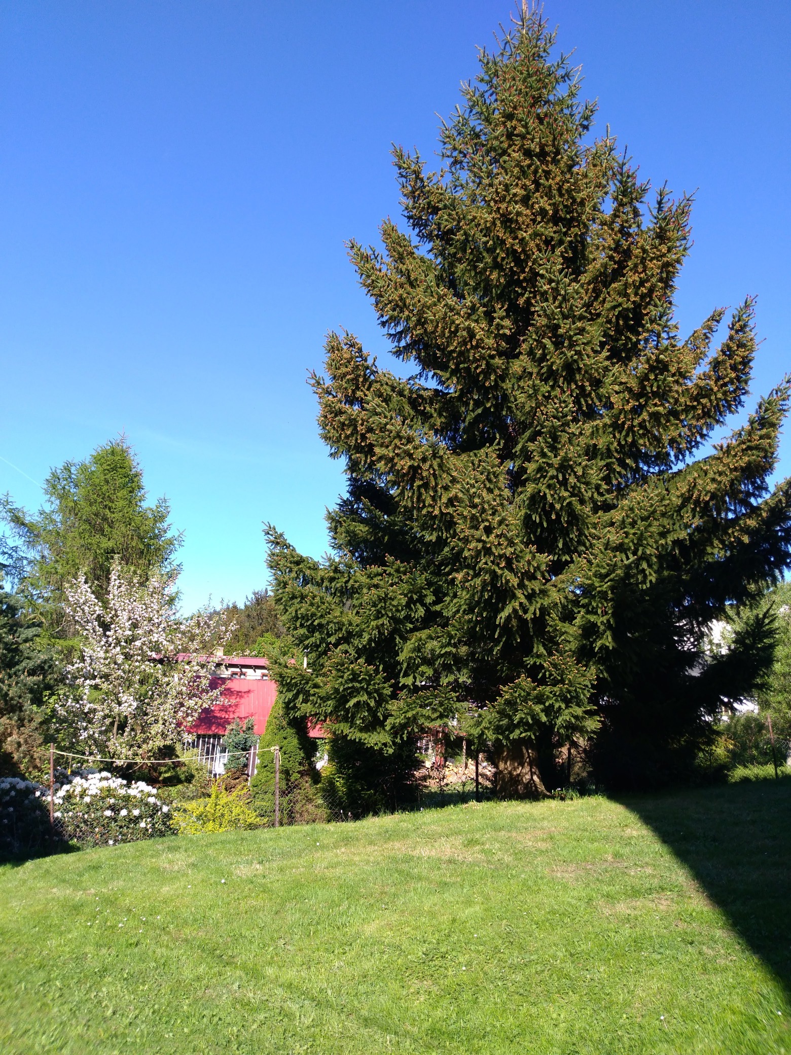 Penzion U Smrku foto 4