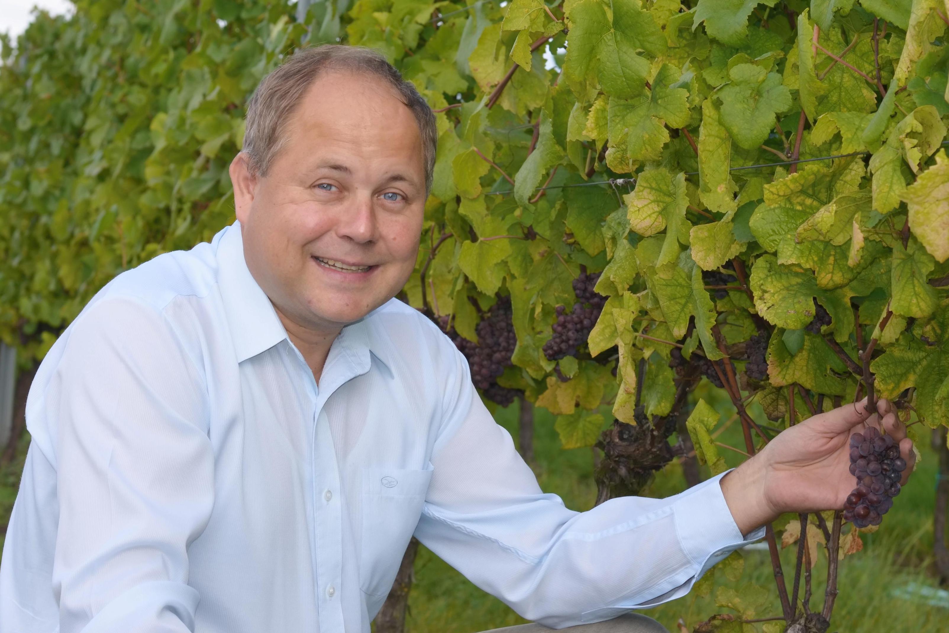 VINO RICHARD - Ing. Richard Tichý