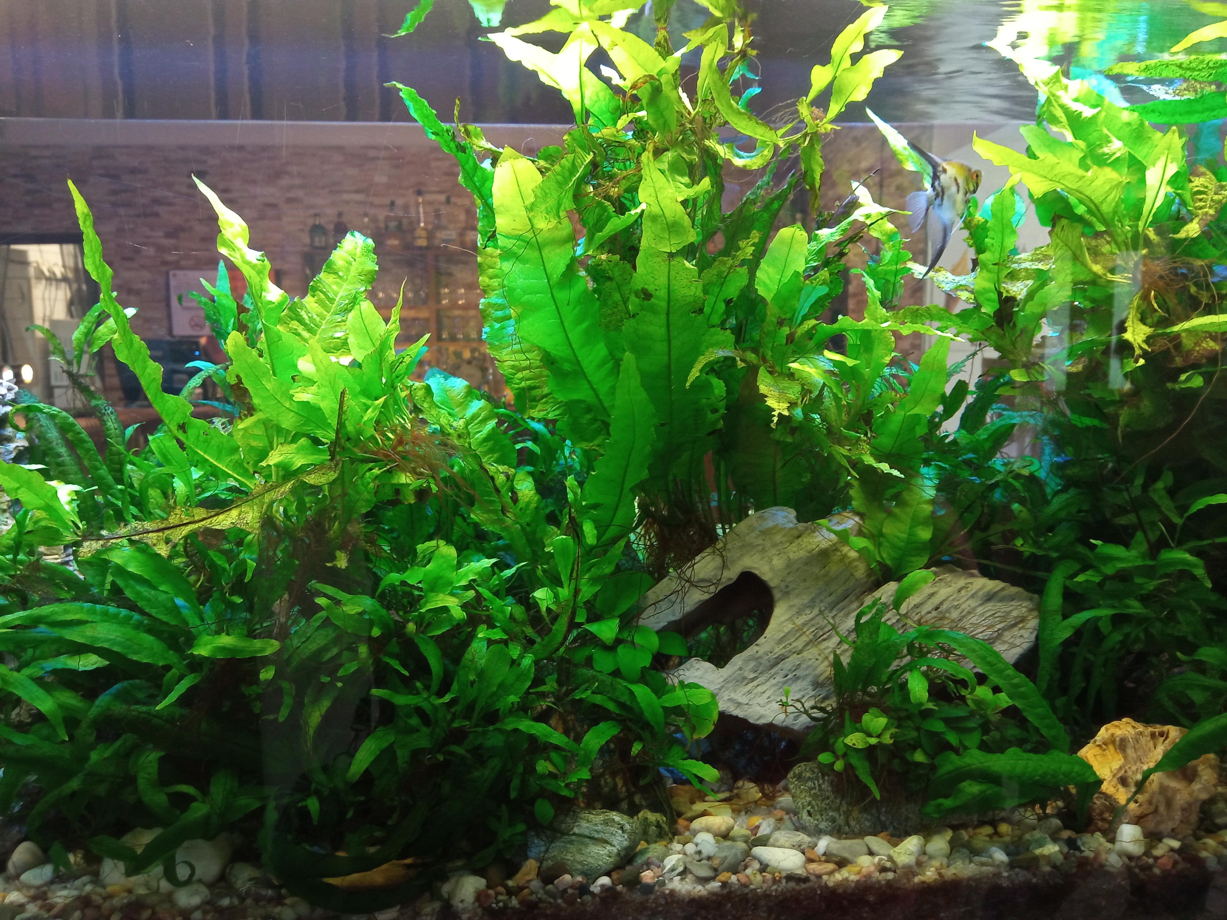 Restaurace Zrůbek U Fárů foto 2