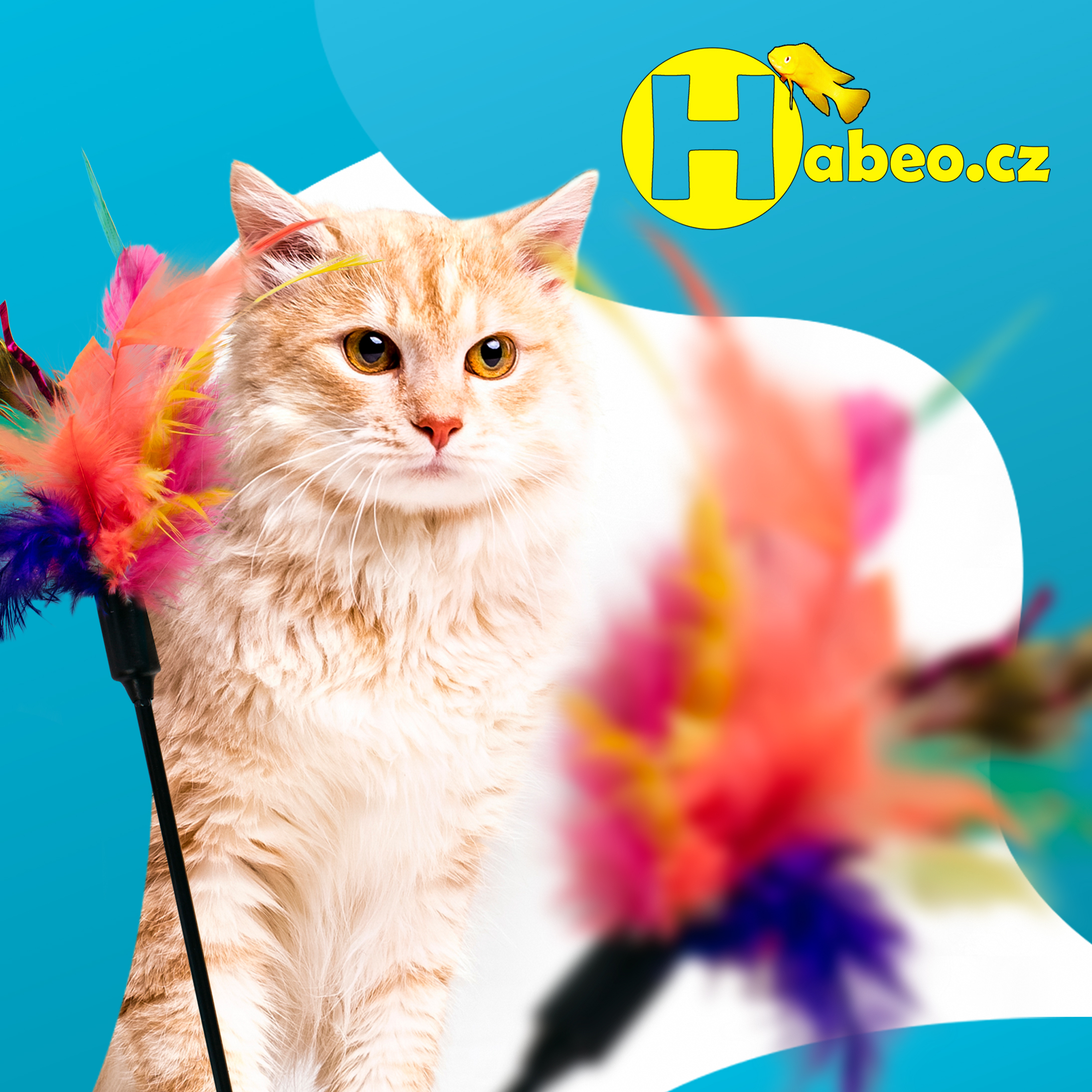 Chovatelský a rybářský e-shop Habeo.cz foto 3