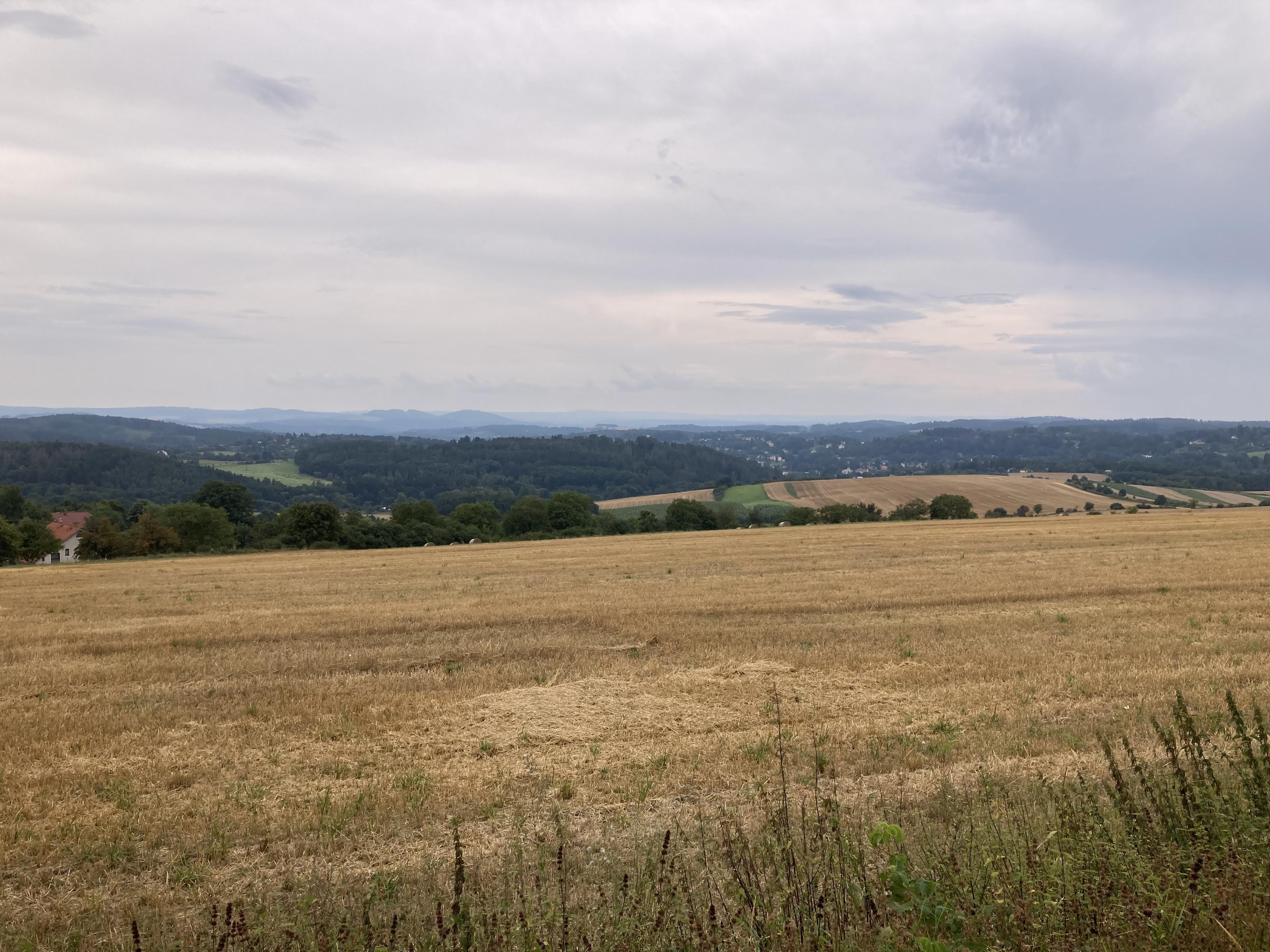Restaurace a penzion U Sapíků, s.r.o. foto 3