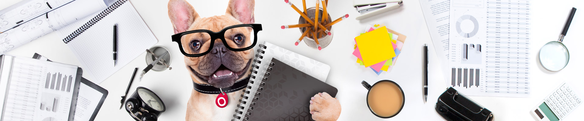 Cover image OFFICEO.cz