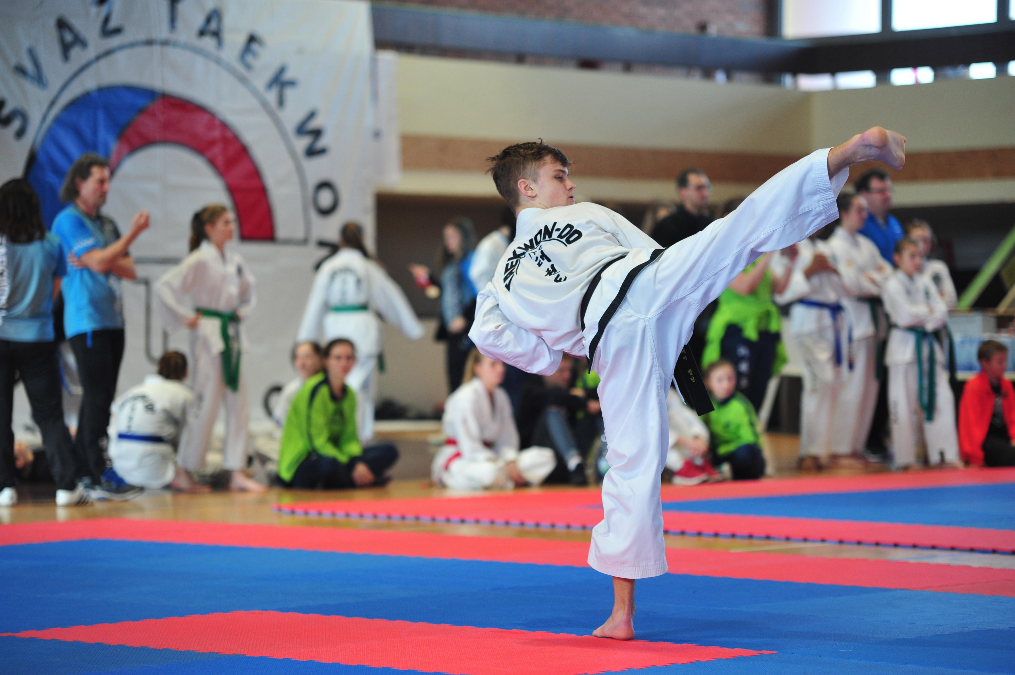 Český svaz Taekwon-Do ITF, z. s. foto 3
