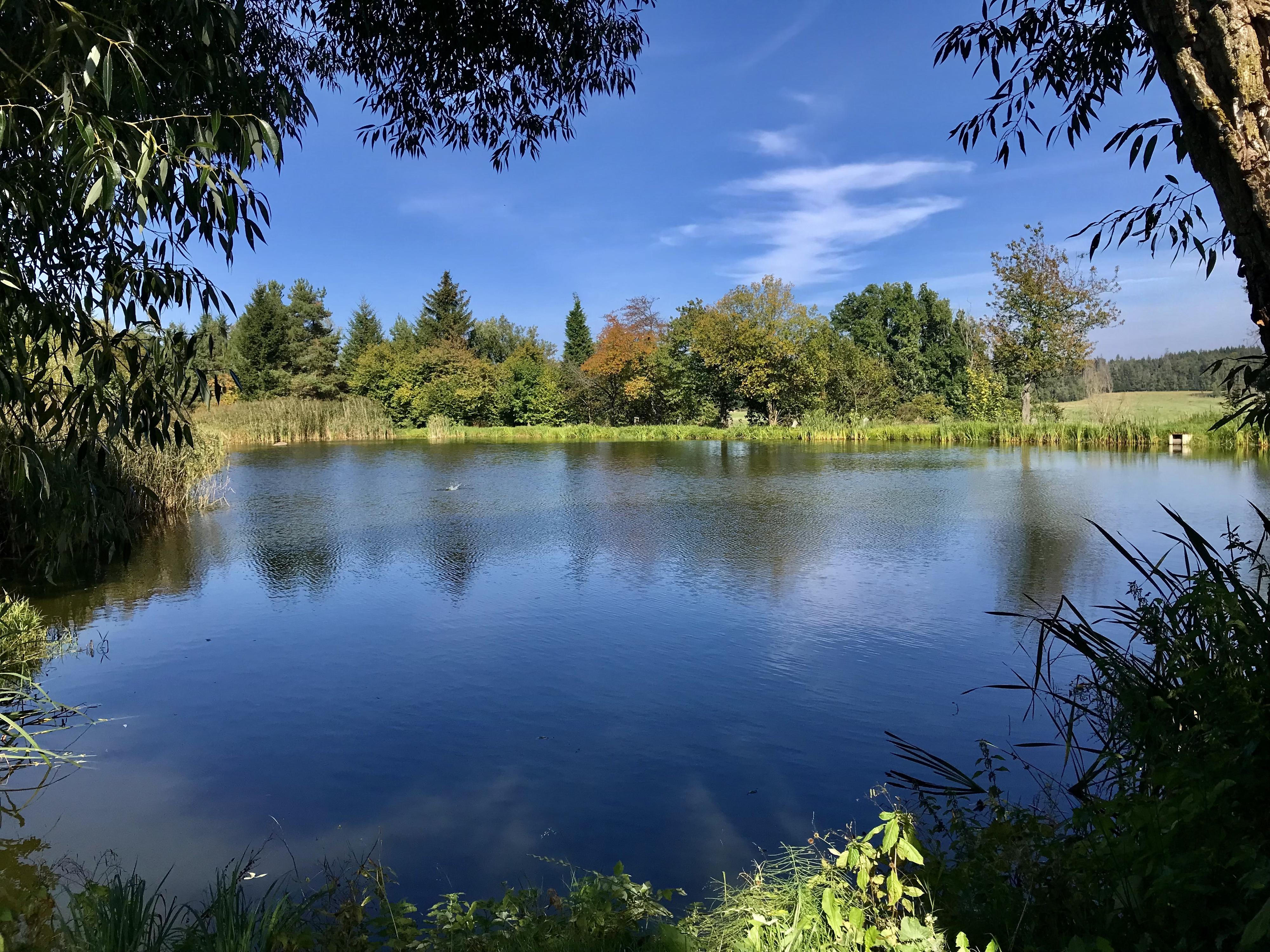 Občerstvení u Vodníka foto 4